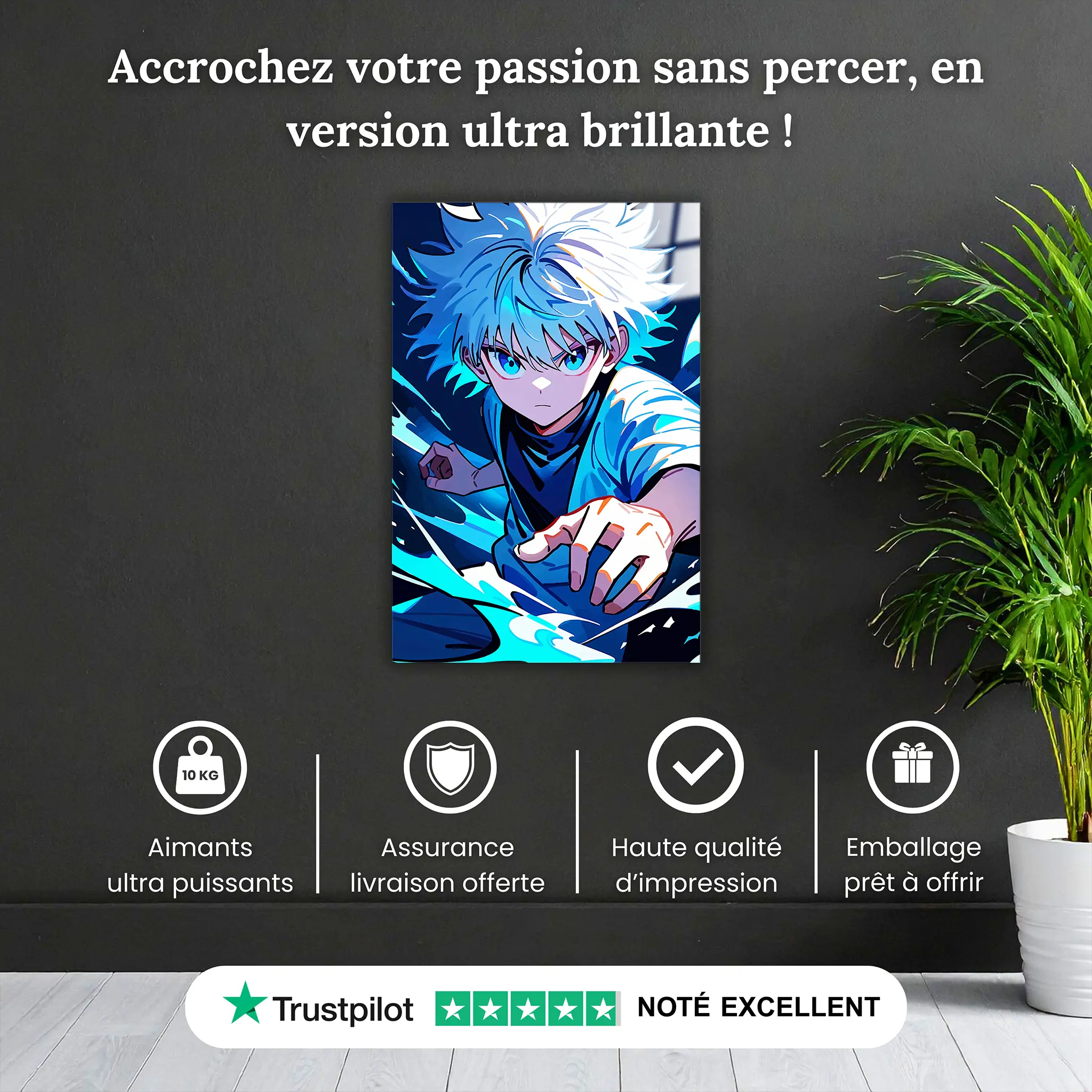 tableau-hunter-x-hunter-kirua-portrait-pourquoi-acheter | DreamWay