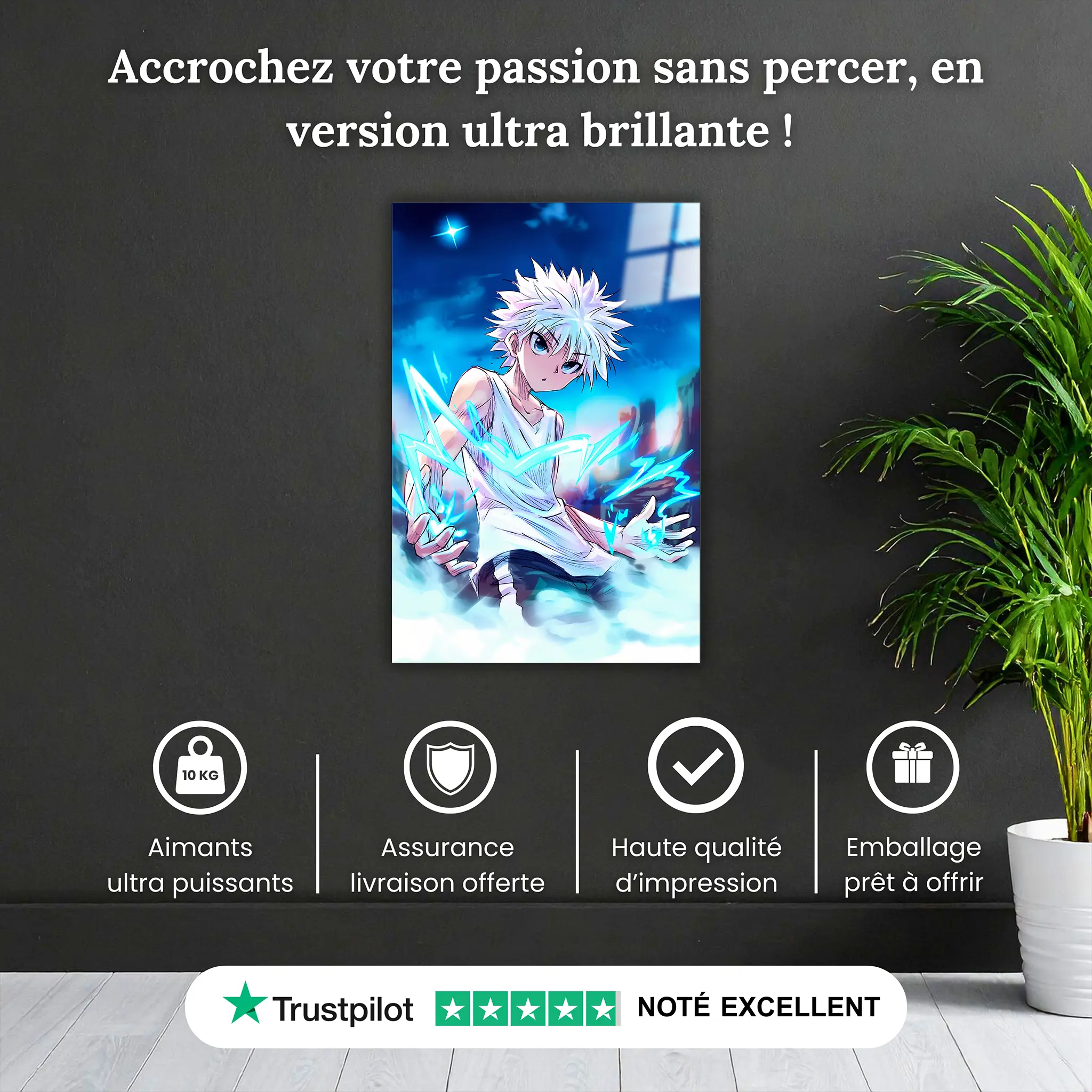 tableau-hunter-x-hunter-kirua-pourquoi-acheter | DreamWay