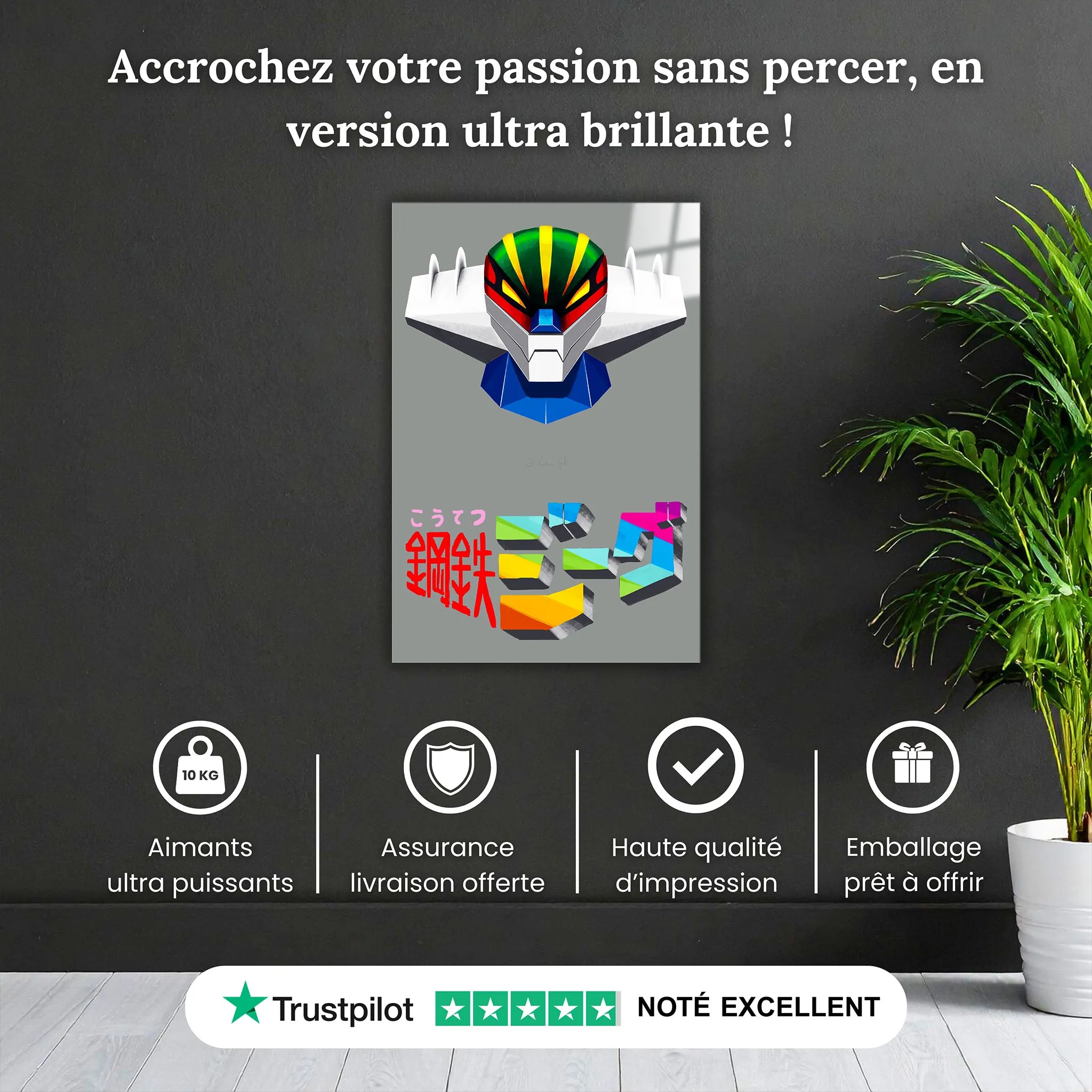 Tableau Jeeg Gris