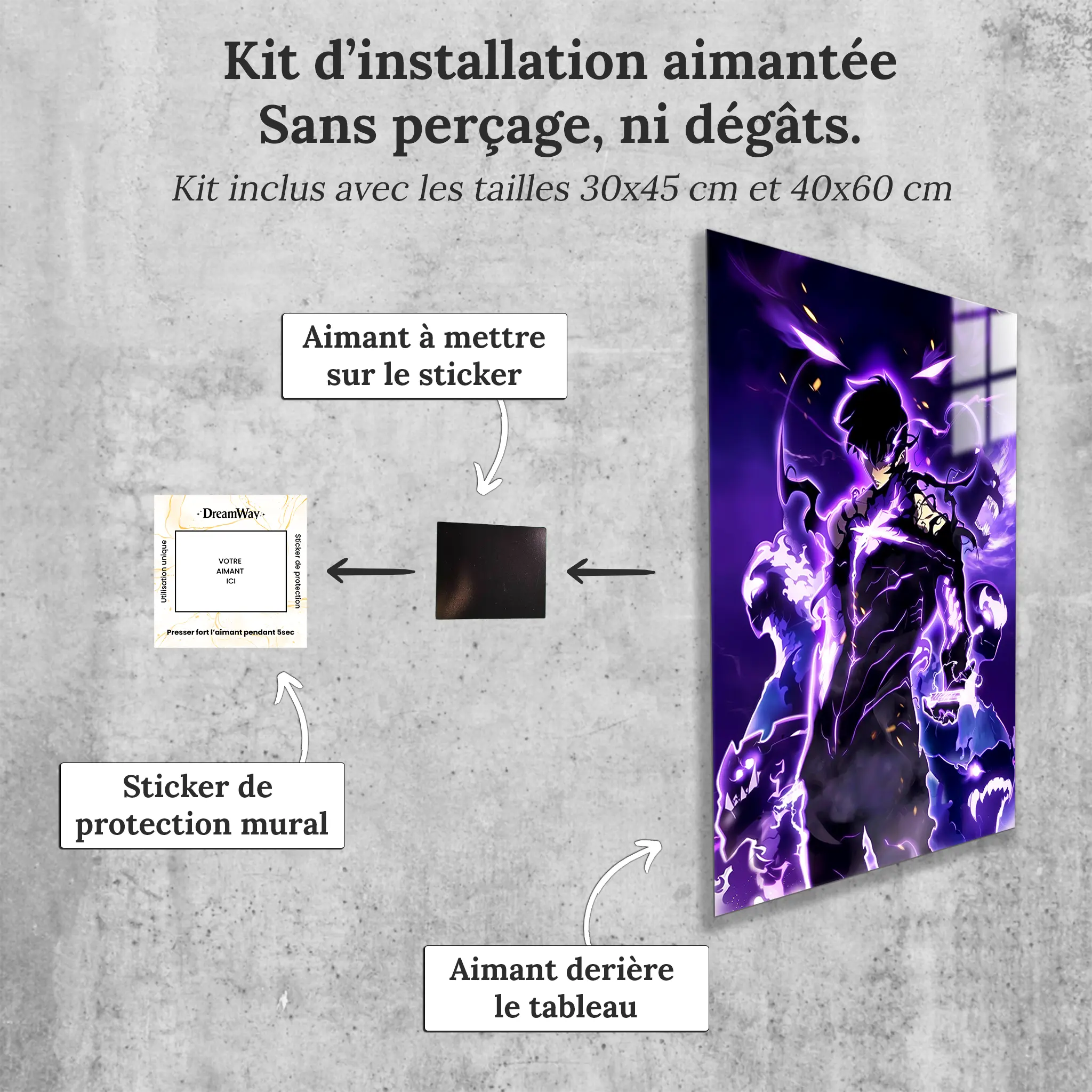 tableau-jin-woo-les-ombres-avec-installation-aimantee | DreamWay