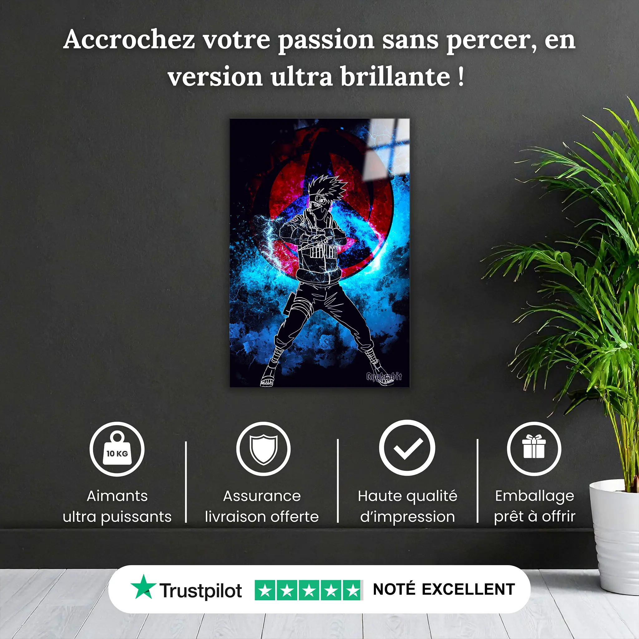 tableau-kakashi-colore-pourquoi-acheter | DreamWay