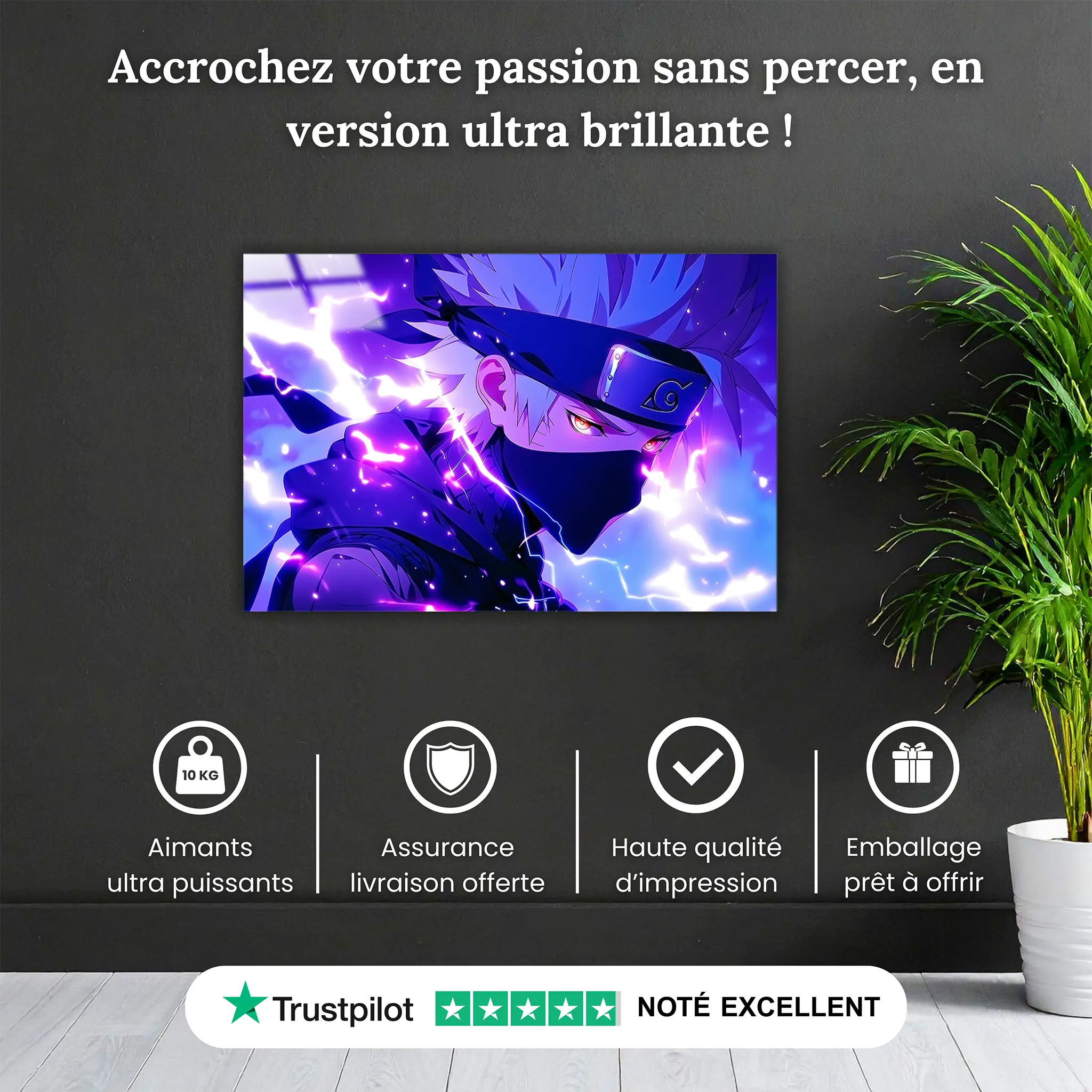 tableau-kakashi-pourquoi-acheter | DreamWay