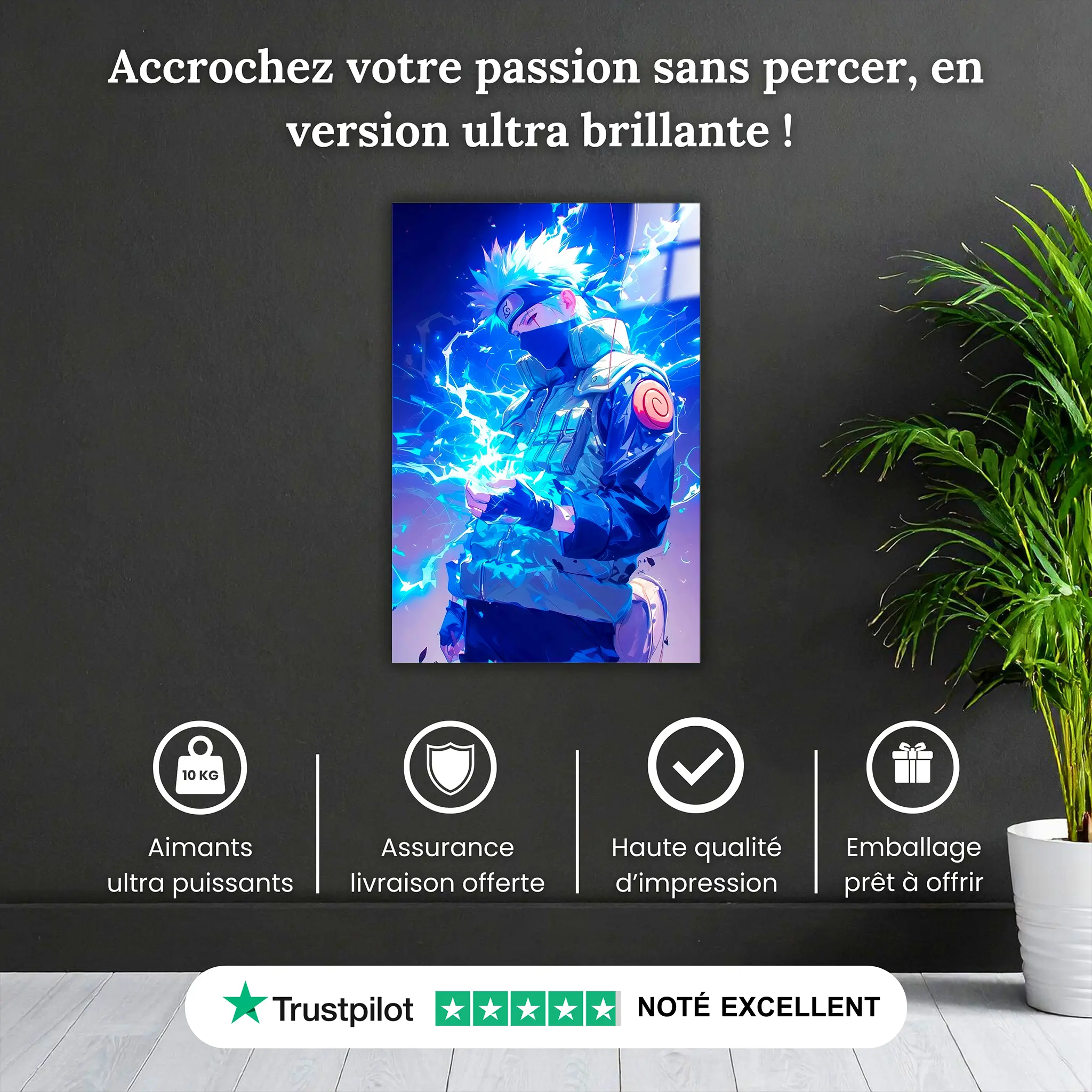 tableau-kakashi-protrait-pourquoi-acheter | DreamWay