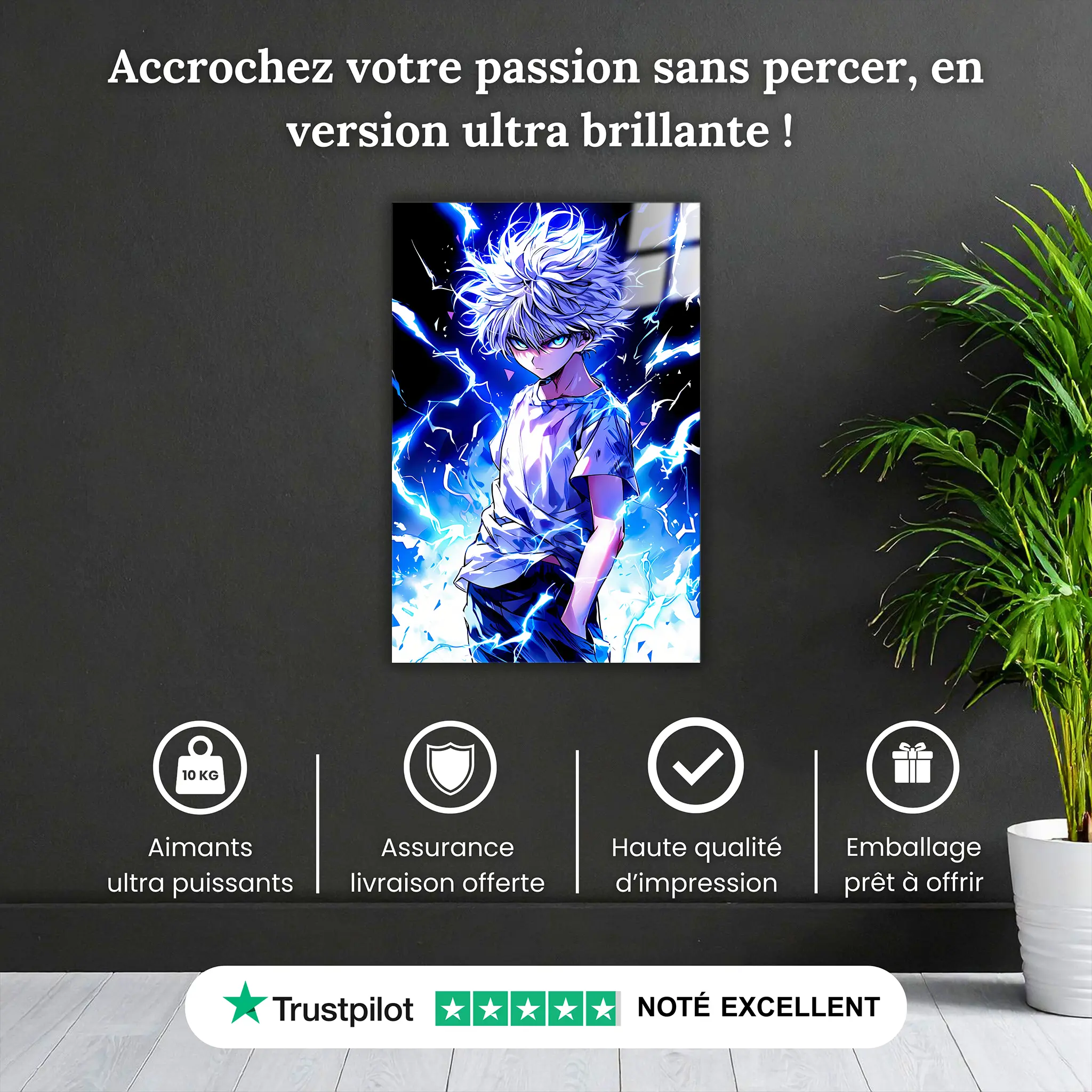 tableau-kirua-pourquoi-acheter | DreamWay