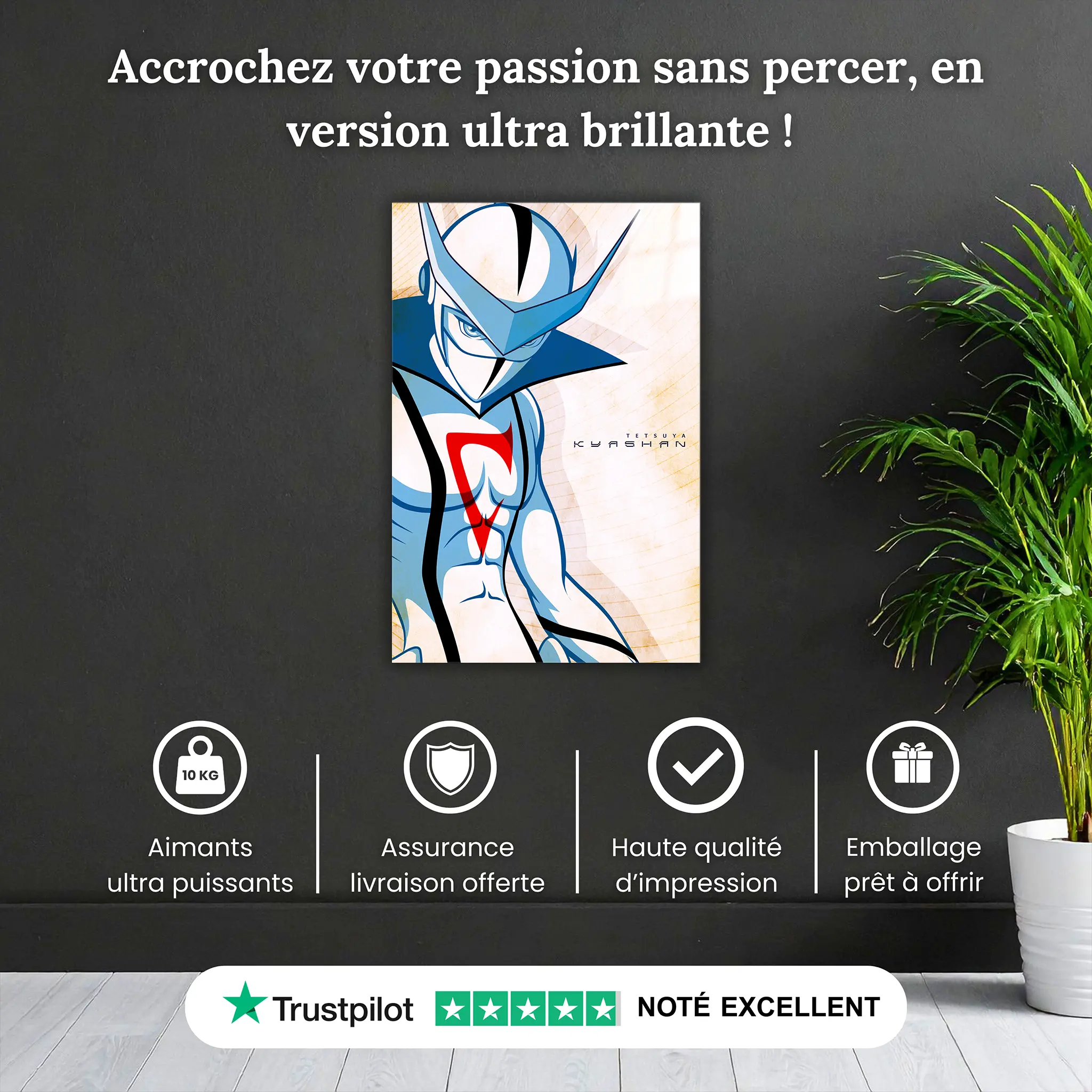 tableau-kyashan-pourquoi-acheter | DreamWay