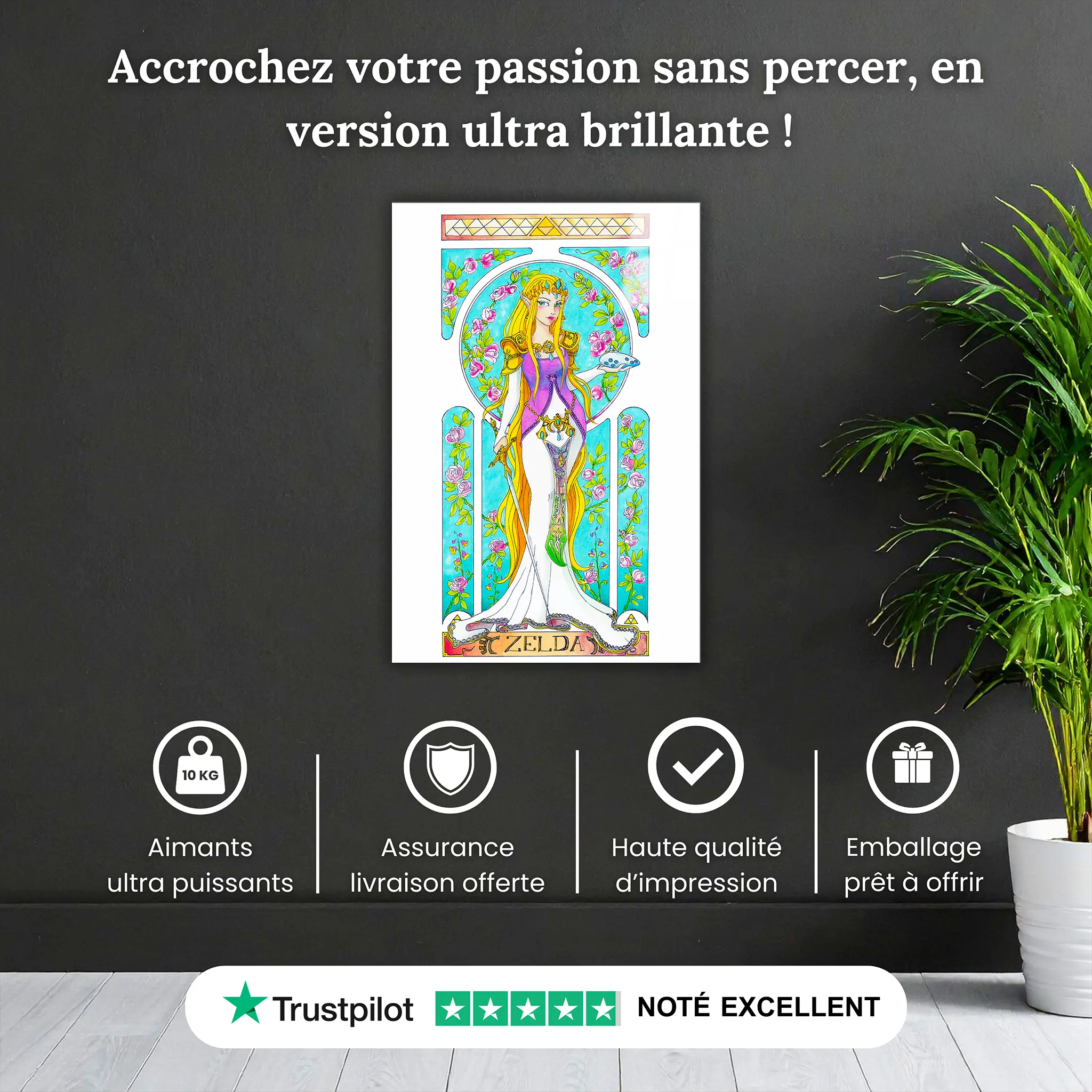 tableau-la-princesse-zelda-pourquoi-acheter | DreamWay