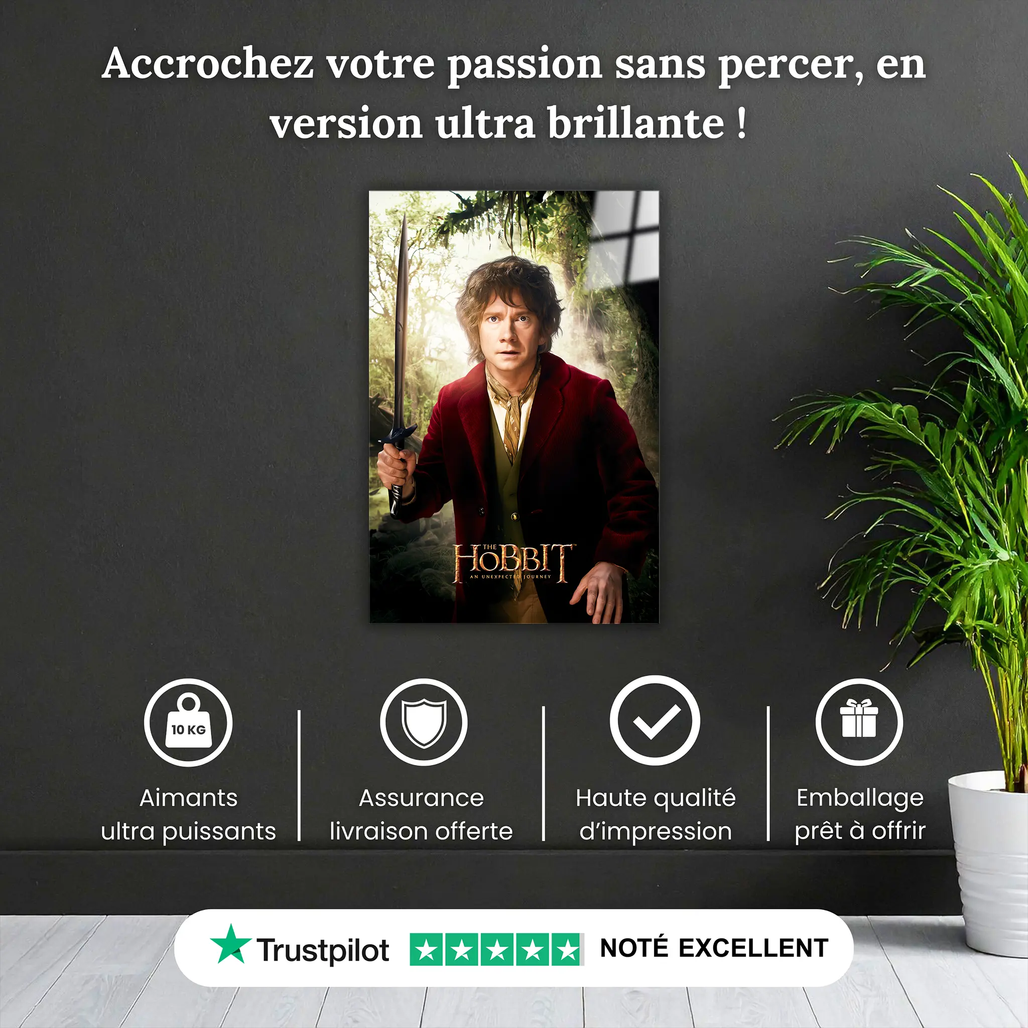 tableau-le-hobbit-bilbon-sacquet-pourquoi-acheter | DreamWay