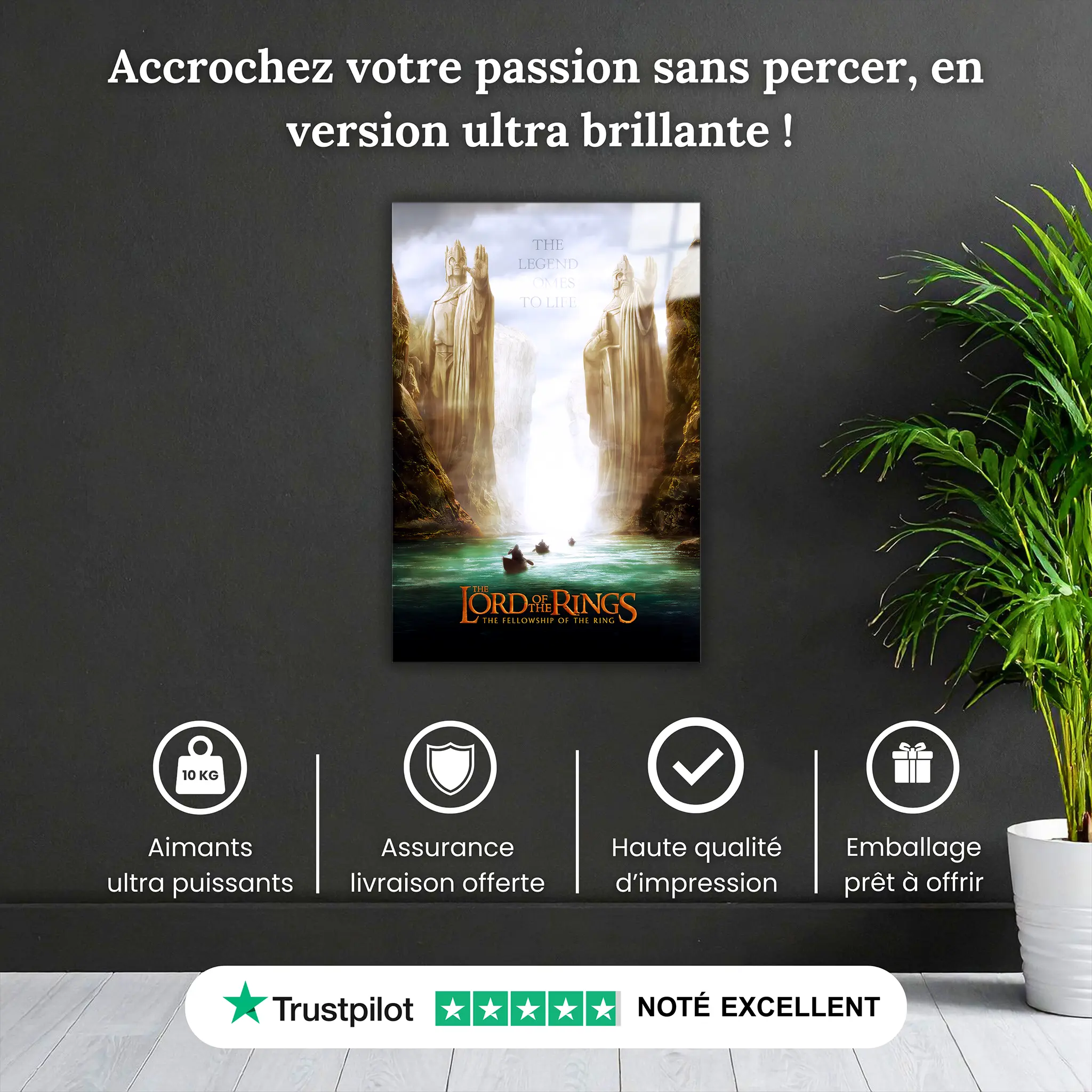 tableau-le-seigneur-des-anneaux-La-Communaute-de-l-anneau-pourquoi-acheter | DreamWay