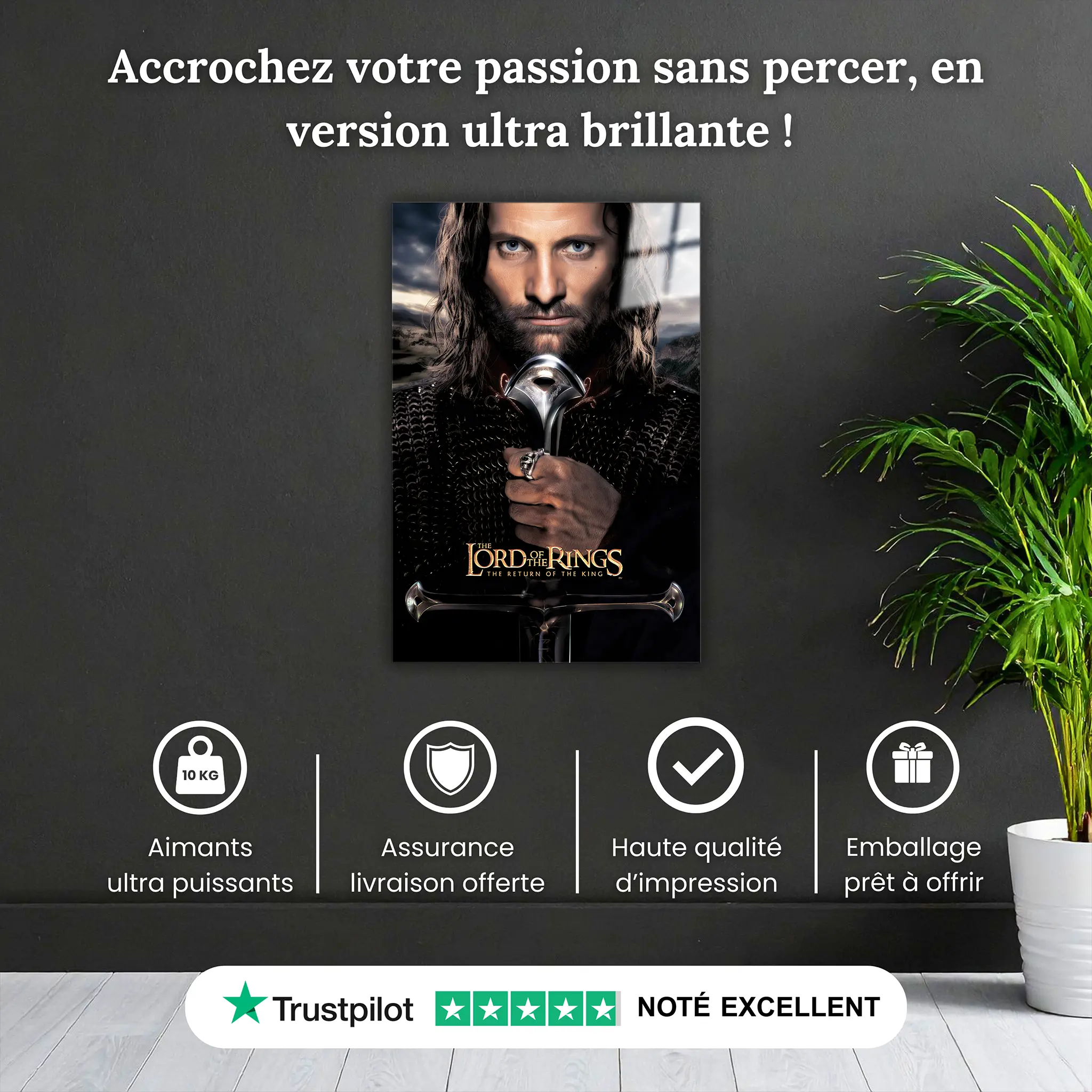 tableau-le-seigneur-des-anneaux-aragorn-pourquoi-acheter | DreamWay