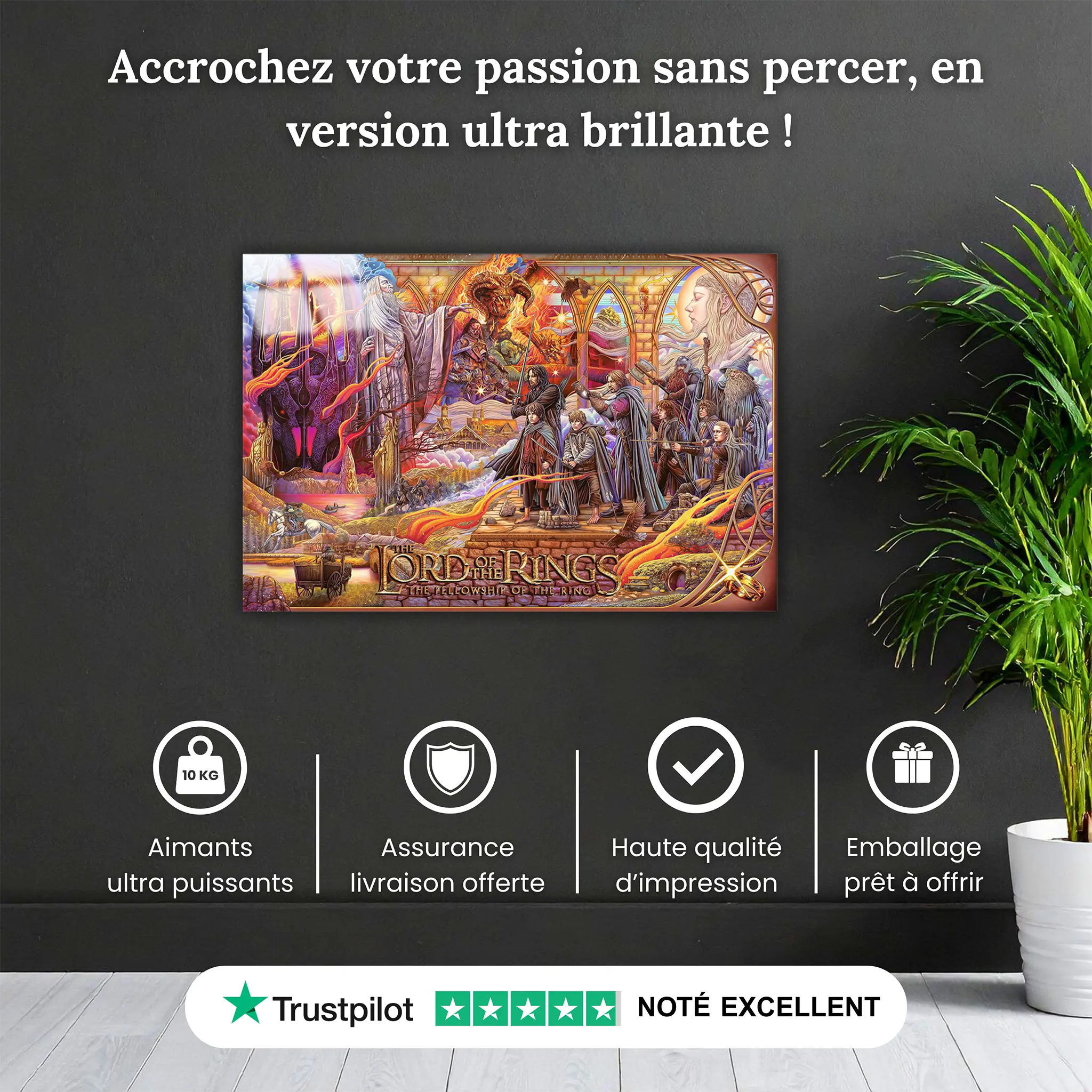 tableau-le-seigneur-des-anneaux-illustration-pourquoi-acheter | DreamWay