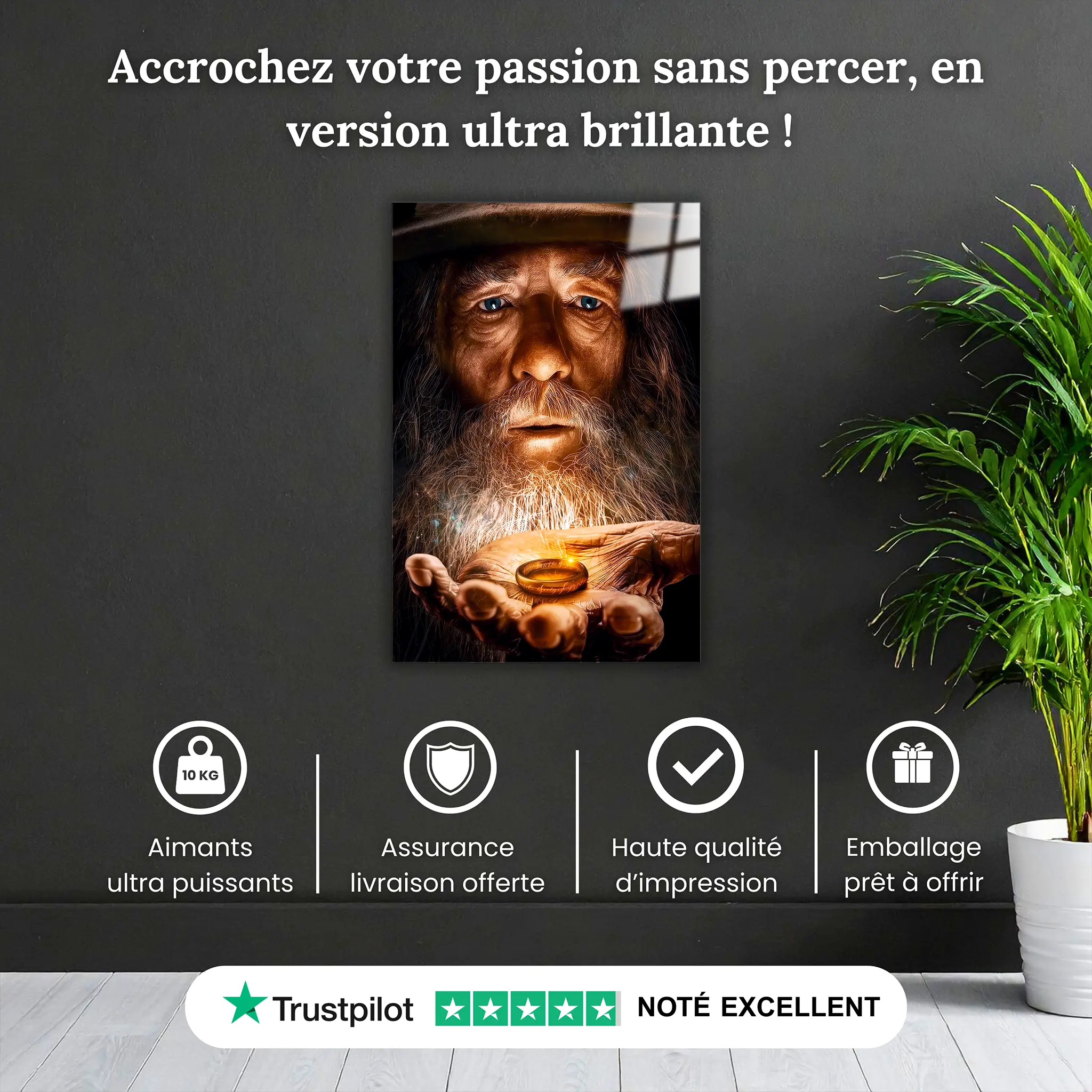 tableau-le-seigneur-des-anneaux-l-anneau-et-gandalf-pourquoi-acheter | DreamWay