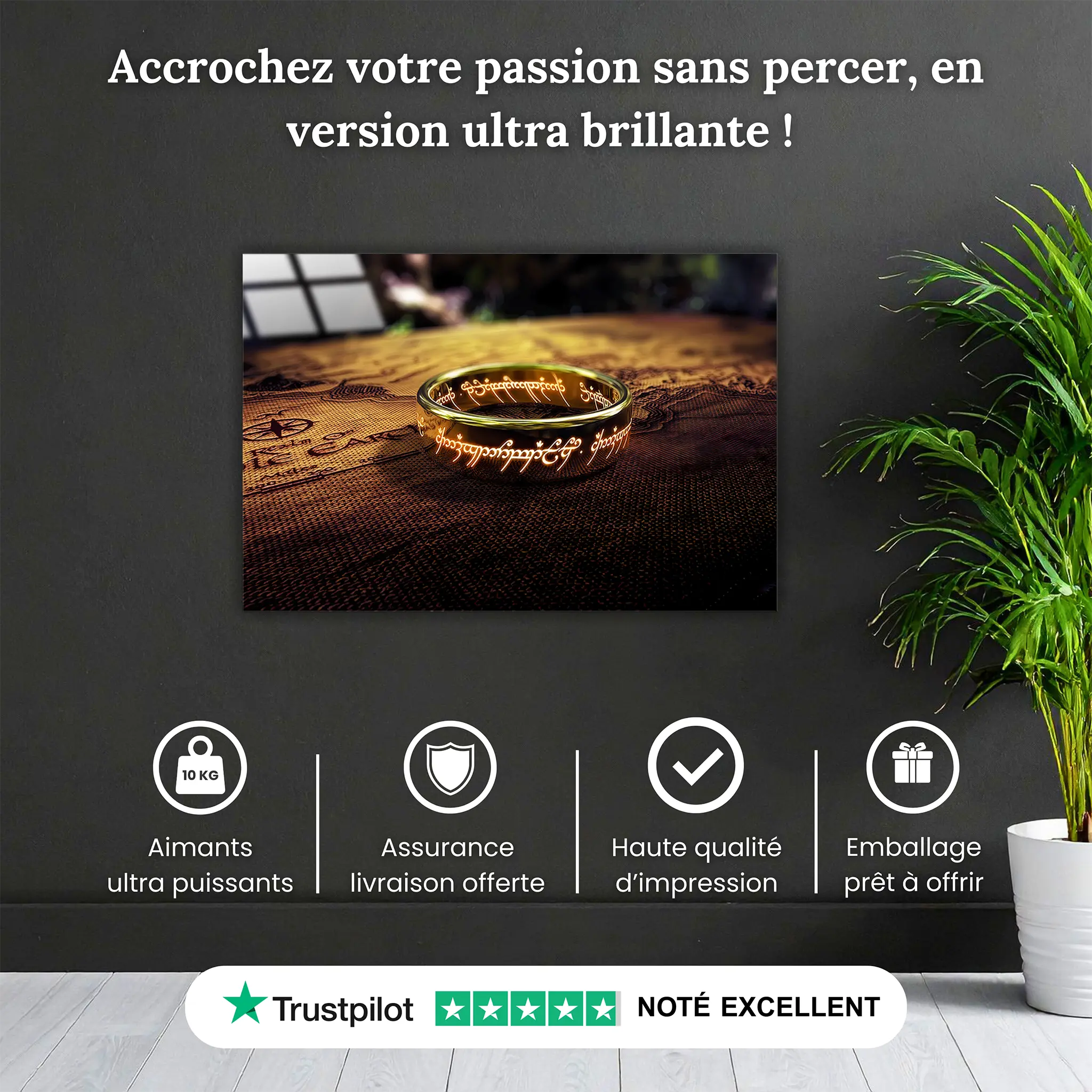 tableau-le-seigneur-des-anneaux-l-anneau-unique-pourquoi-acheter | DreamWay