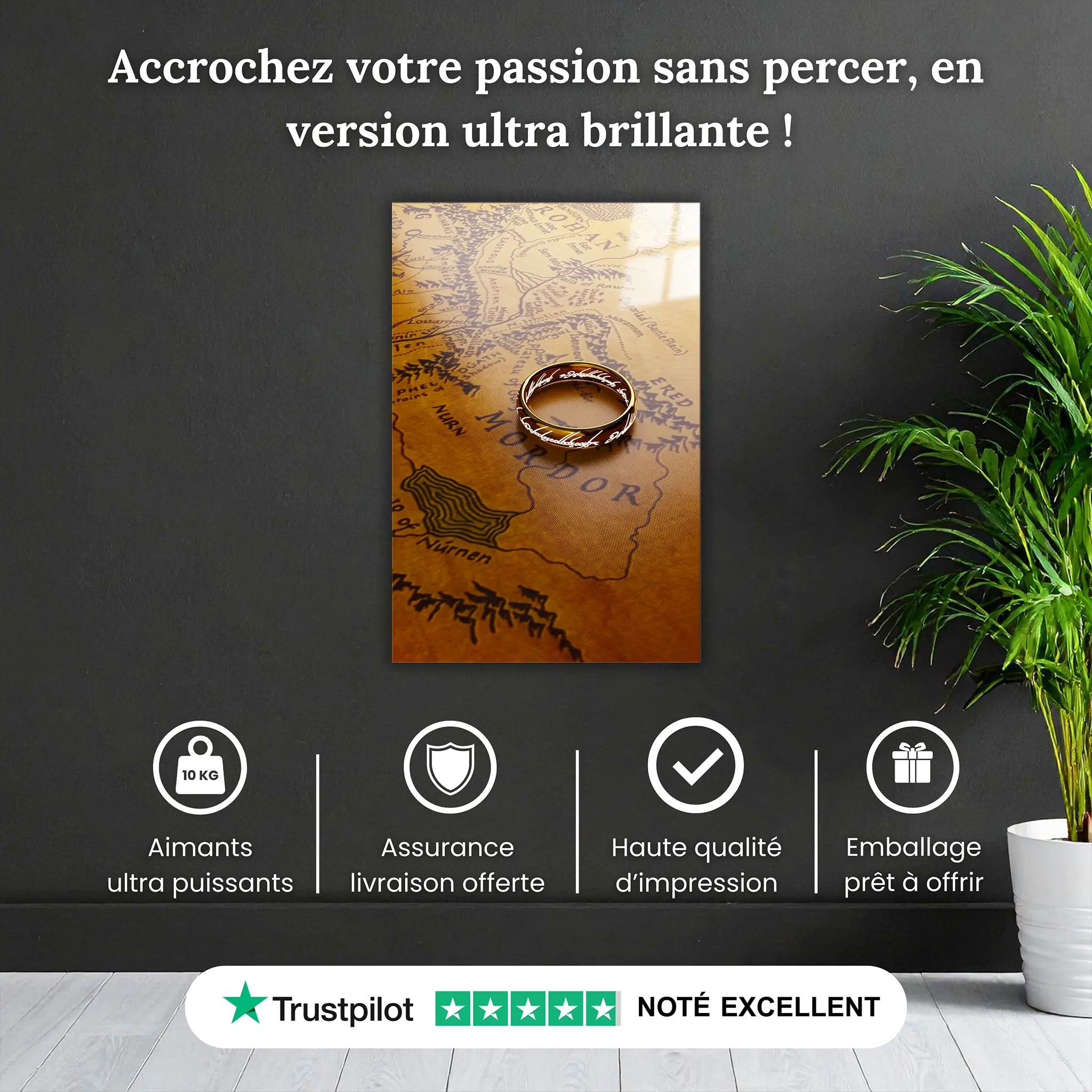 tableau-le-seigneur-des-anneaux-la-carte-et-l-anneau-pourquoi-acheter | DreamWay