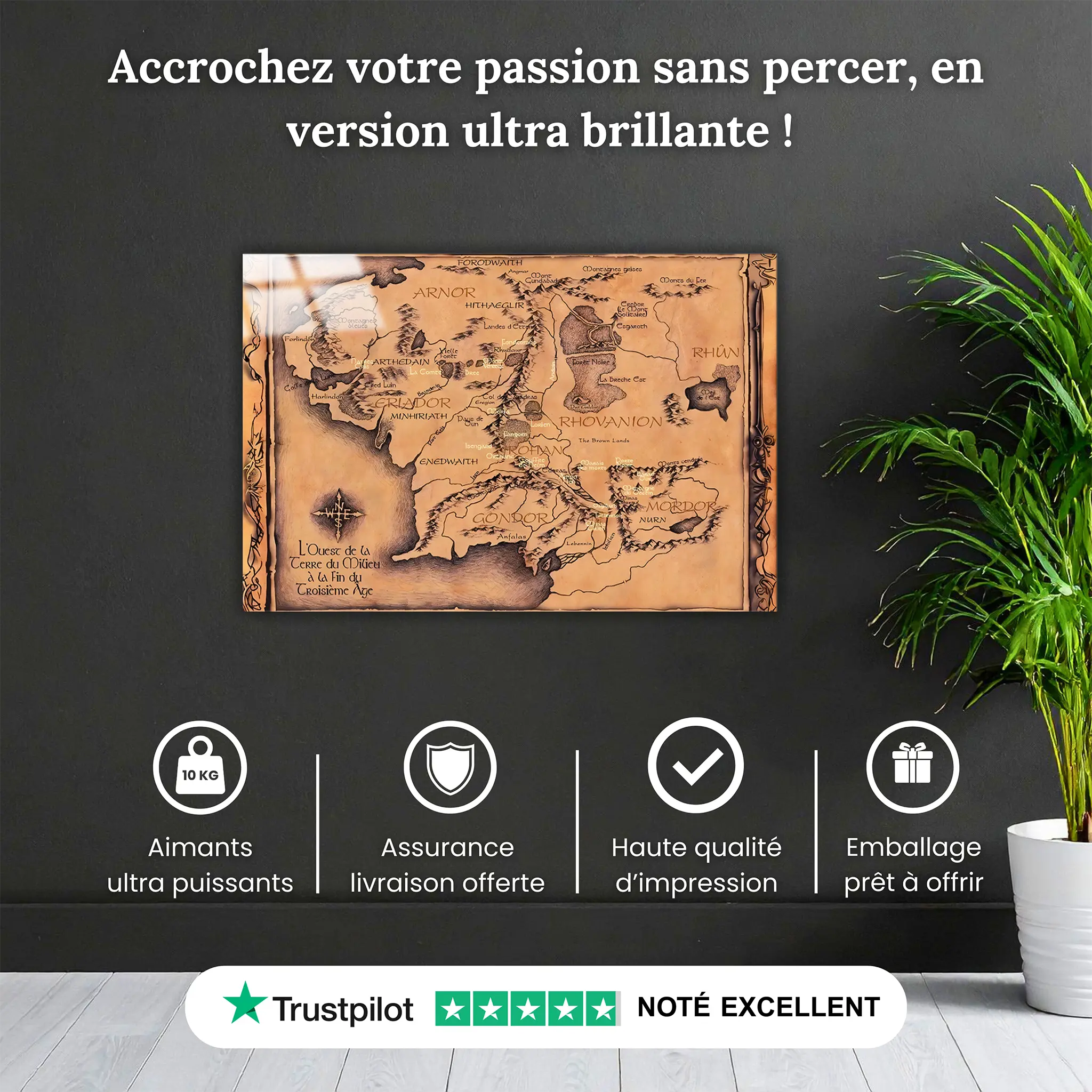 tableau-le-seigneur-des-anneaux-la-carte-pourquoi-acheter | DreamWay