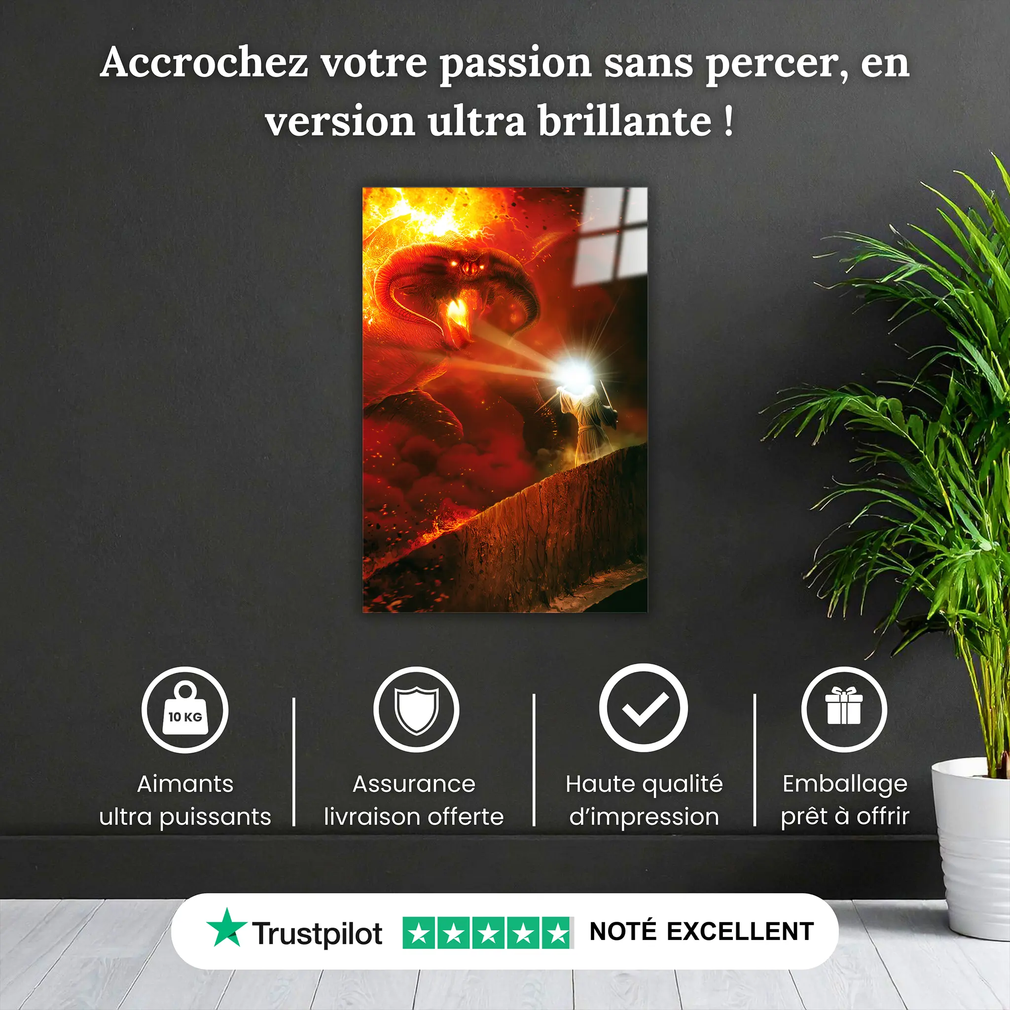 tableau-le-seigneur-des-anneaux-le-combat-de-la-moria-pourquoi-acheter | DreamWay