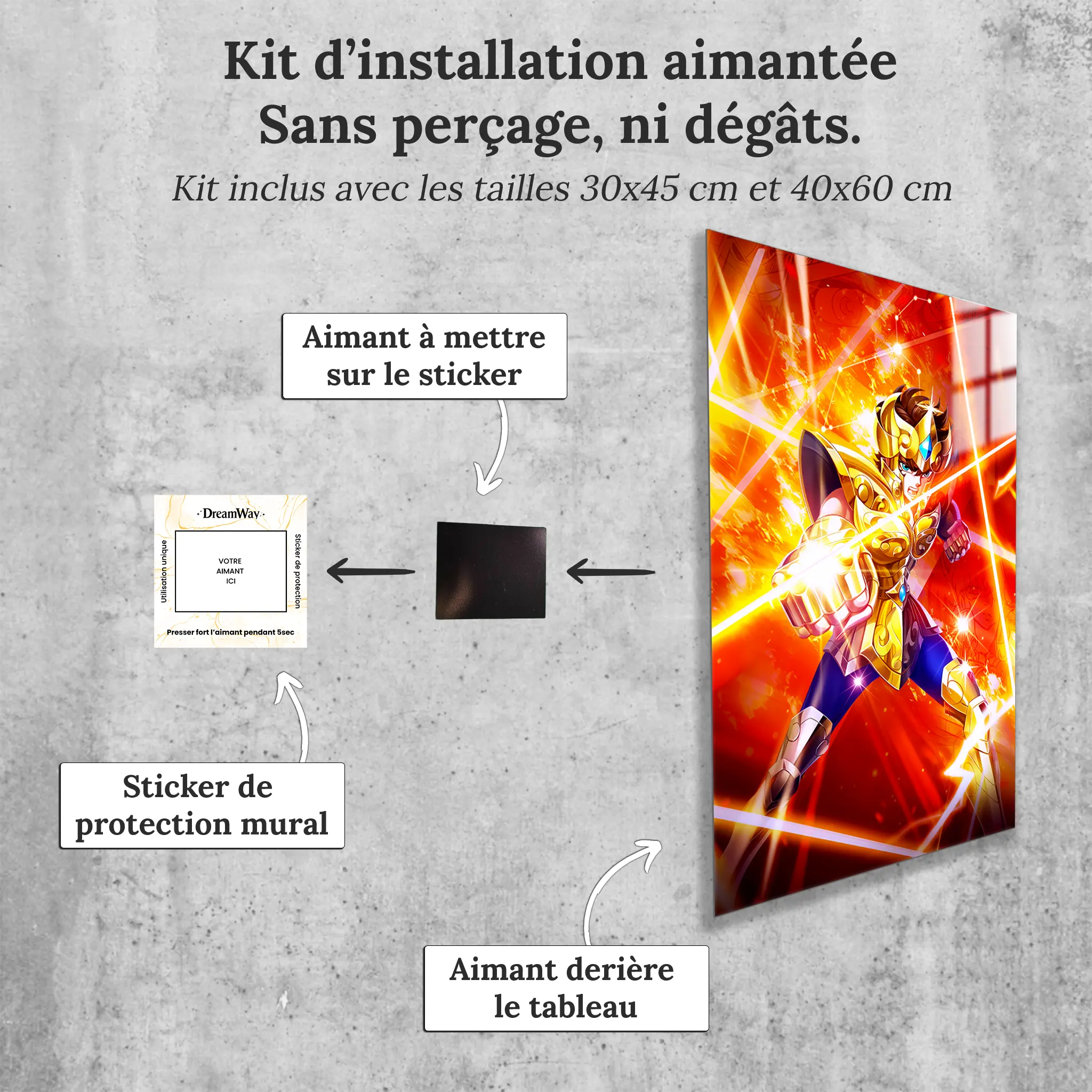 tableau-les-chevaliers-du-zodiaque-aiolia-du-lion-avec-installation-aimantee | DreamWay