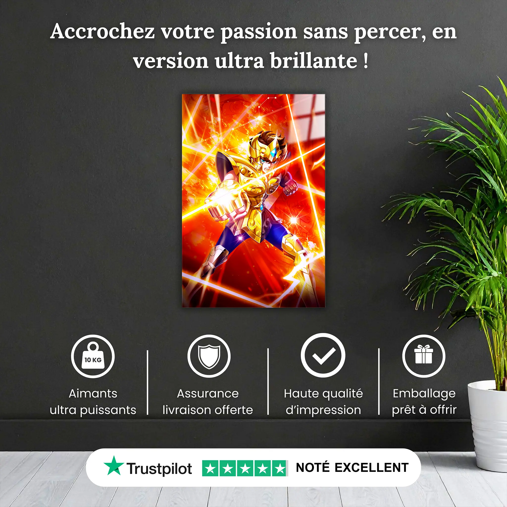 tableau-les-chevaliers-du-zodiaque-aiolia-du-lion-pourquoi-acheter | DreamWay