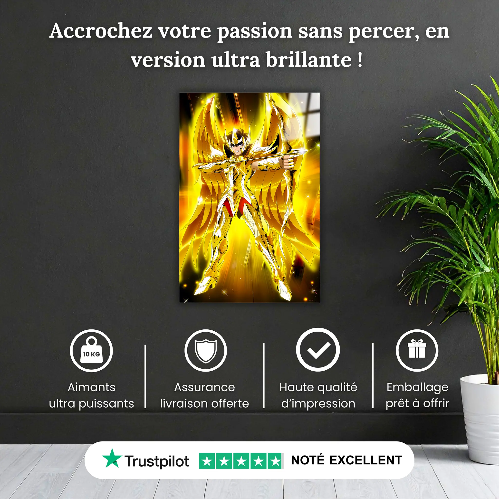 tableau-les-chevaliers-du-zodiaque-aiolos-du-sagittaire-pourquoi-acheter | DreamWay