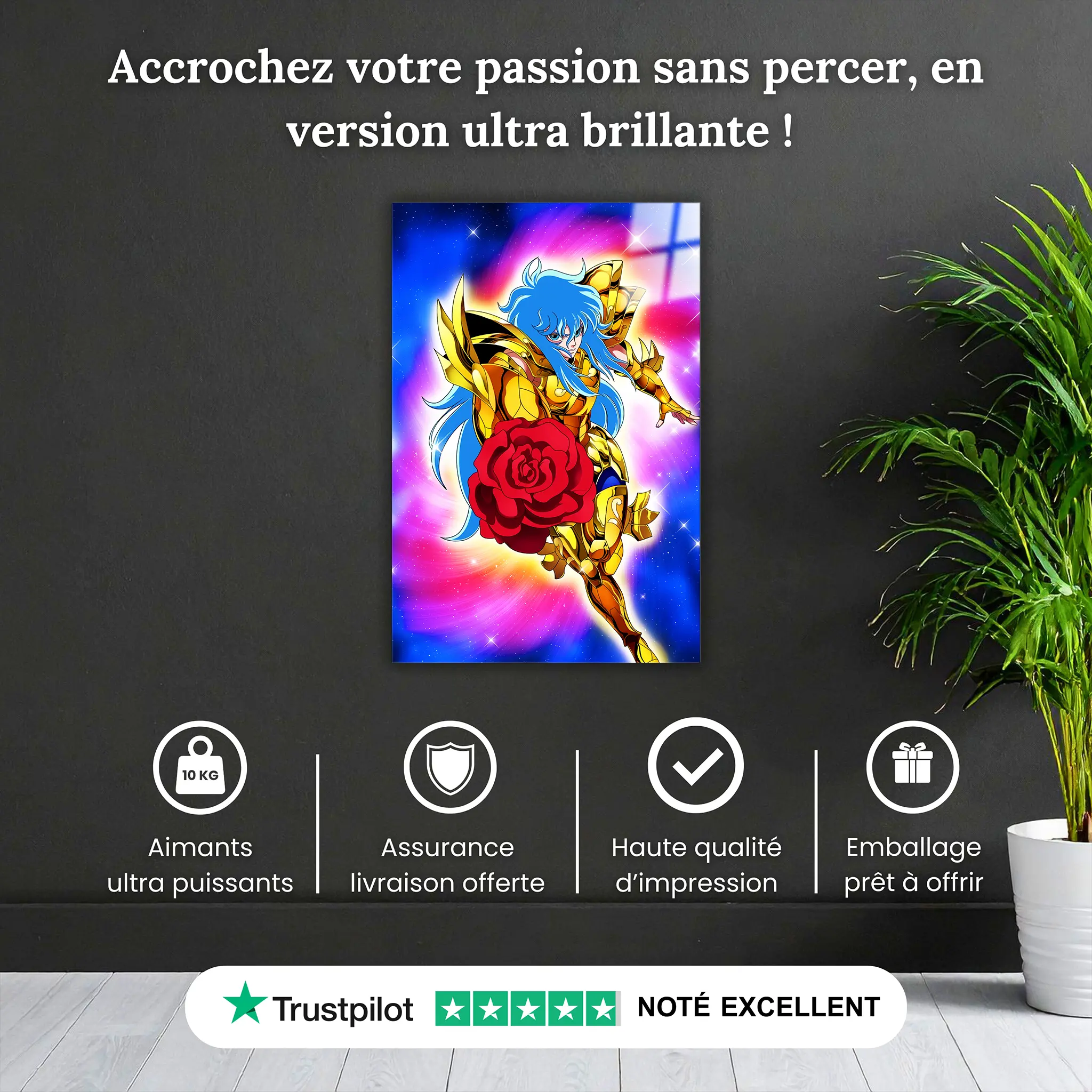 tableau-les-chevaliers-du-zodiaque-aphrodite-des-poissons-pourquoi-acheter | DreamWay