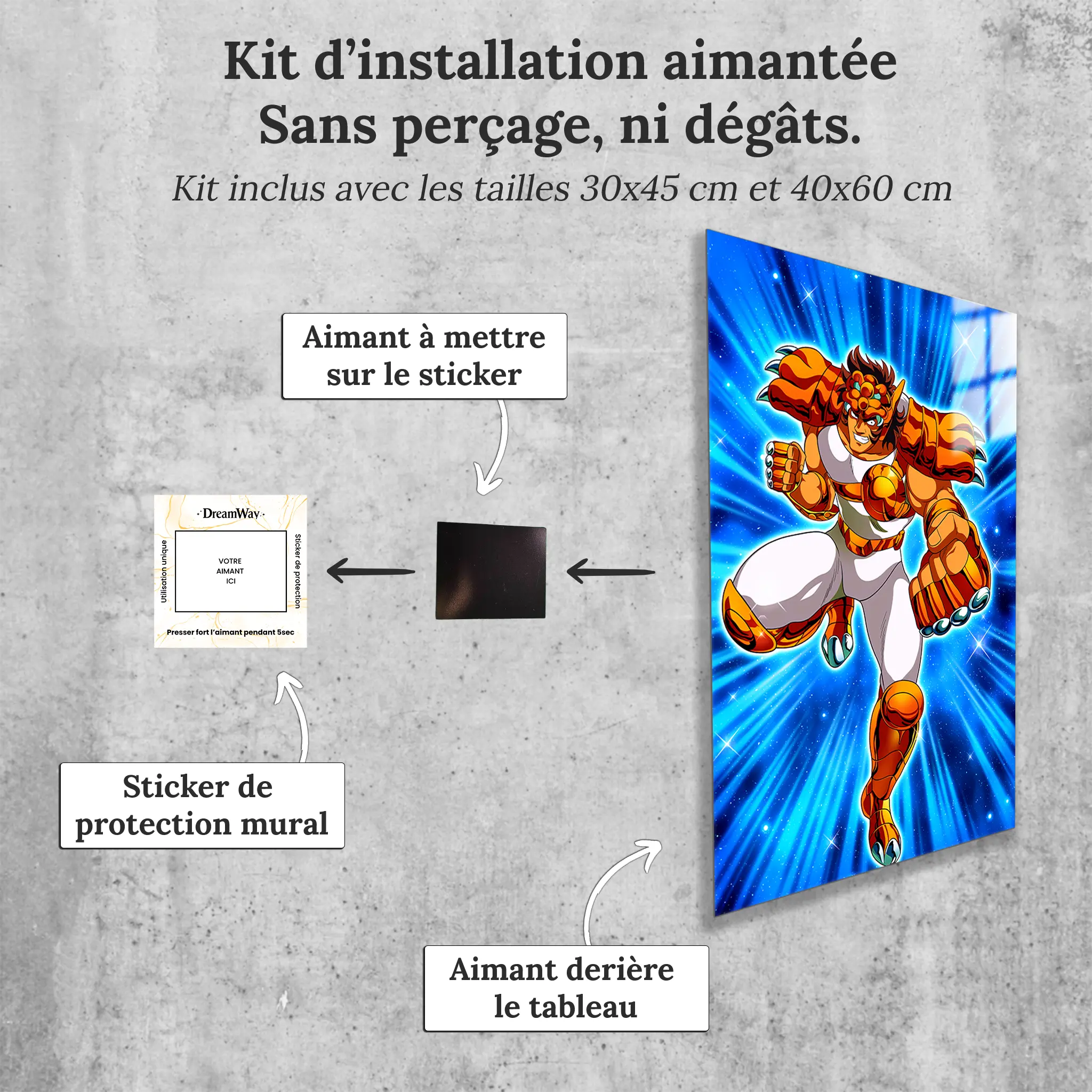 tableau-les-chevaliers-du-zodiaque-ban-du-petit-lion-avec-installation-aimantee | DreamWay