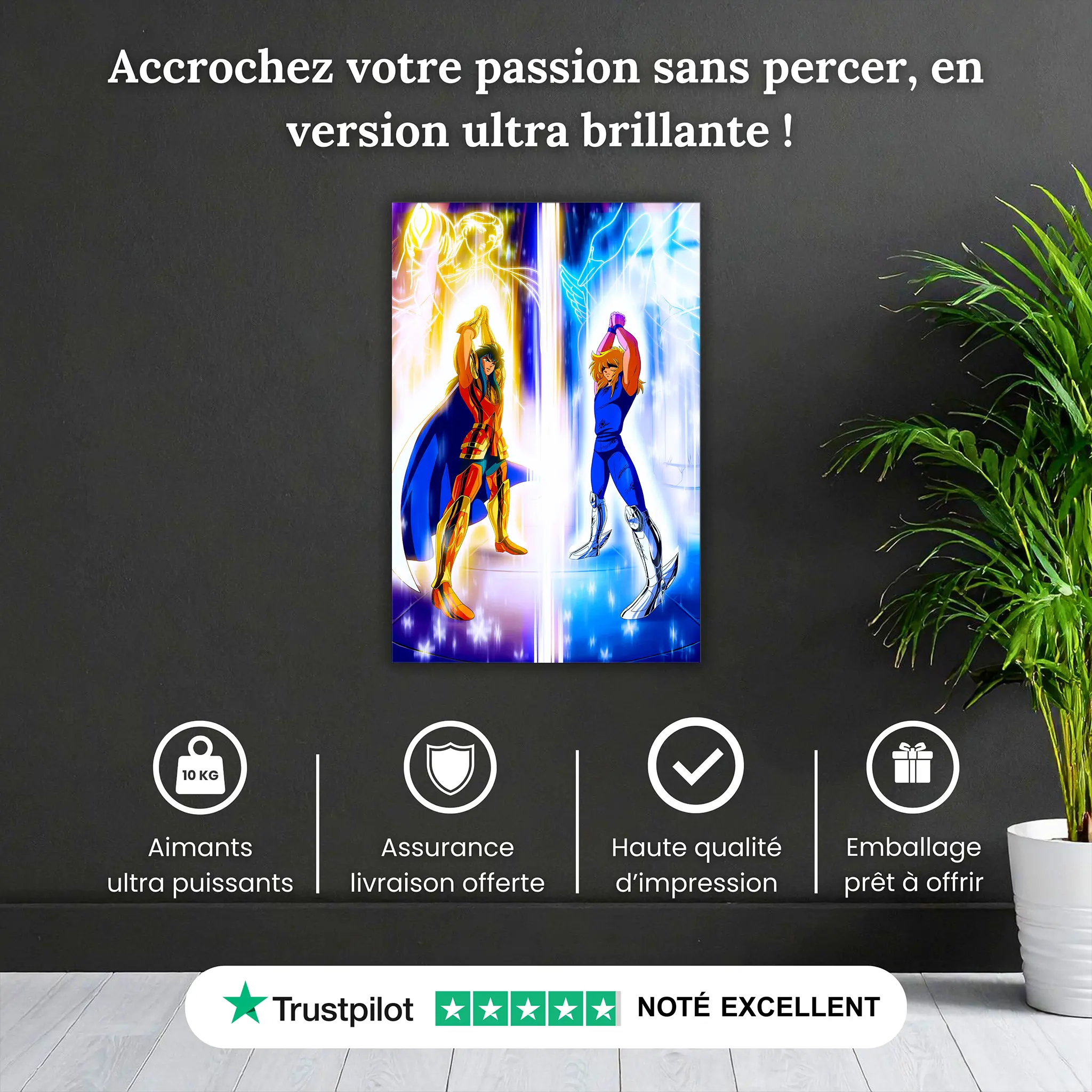 tableau-les-chevaliers-du-zodiaque-bataille-camus-contre-hyoga-pourquoi-acheter | DreamWay