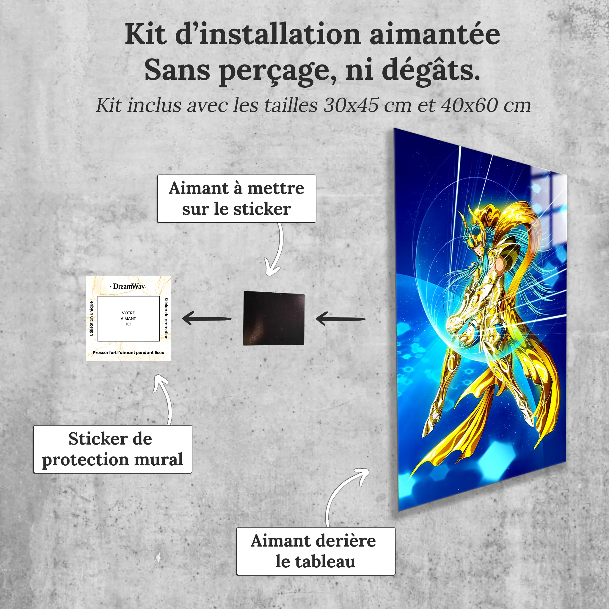 tableau-les-chevaliers-du-zodiaque-camus-du-verseau-avec-installation-aimantee | DreamWay