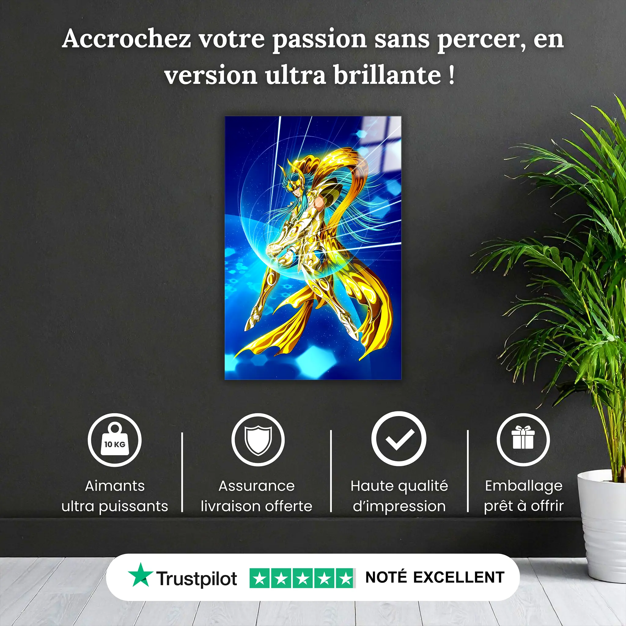 tableau-les-chevaliers-du-zodiaque-camus-du-verseau-pourquoi-acheter | DreamWay