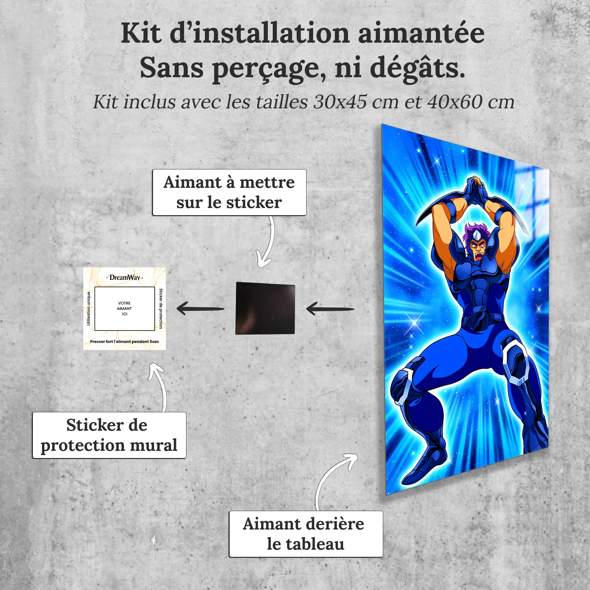 tableau-les-chevaliers-du-zodiaque-geki-de-ours-avec-installation-aimantee | DreamWay