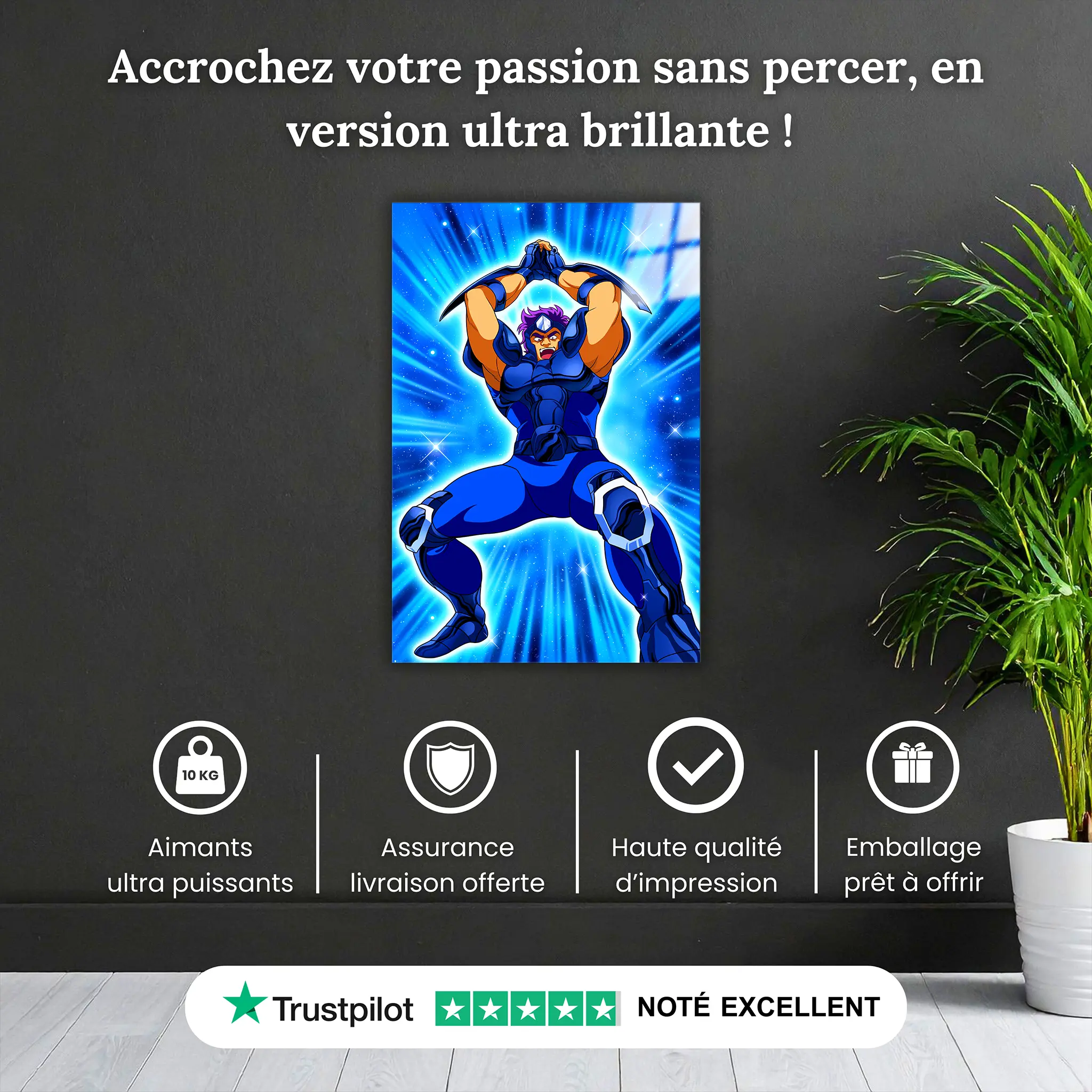 tableau-les-chevaliers-du-zodiaque-geki-de-ours-pourquoi-acheter | DreamWay