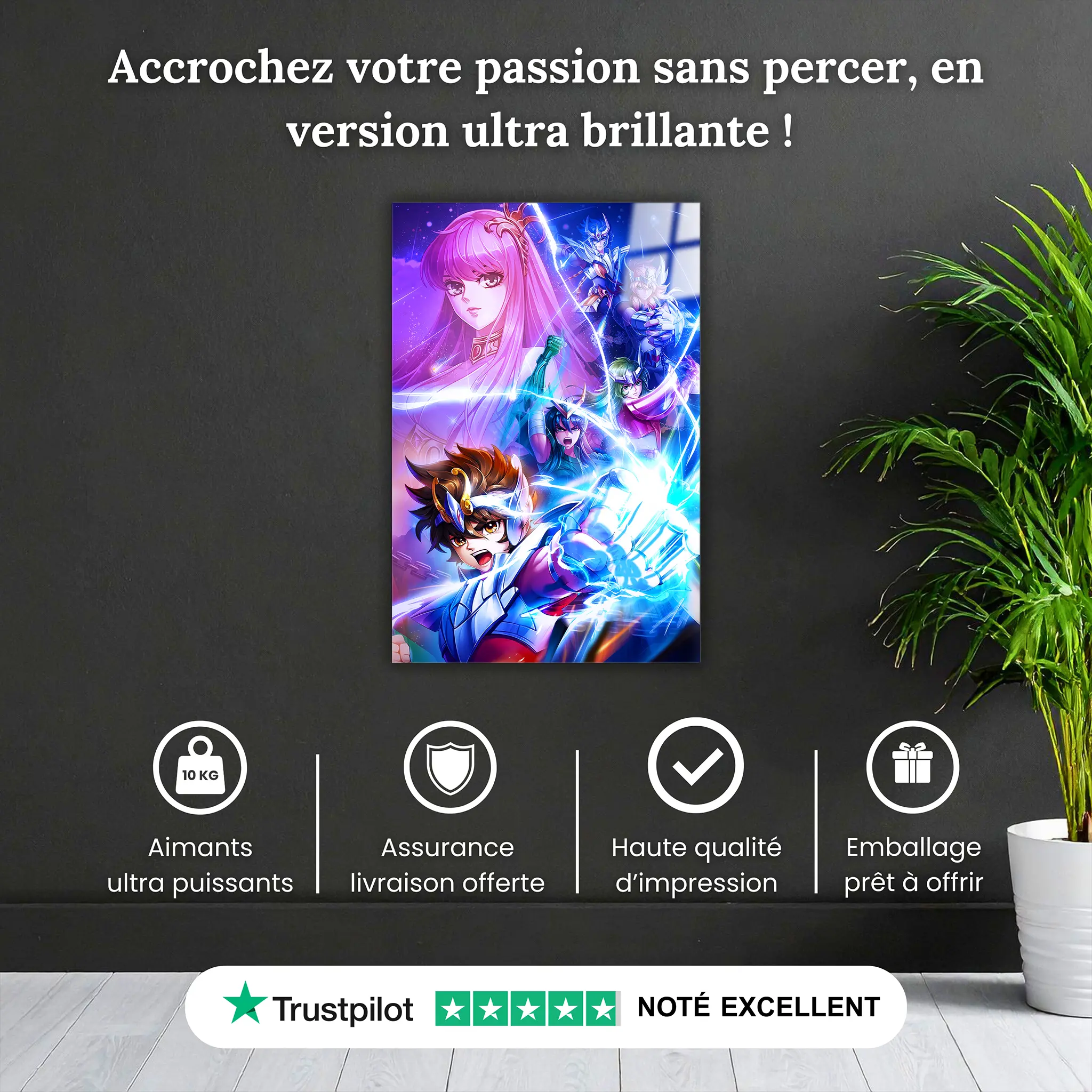 tableau-les-chevaliers-du-zodiaque-heros-pourquoi-acheter | DreamWay