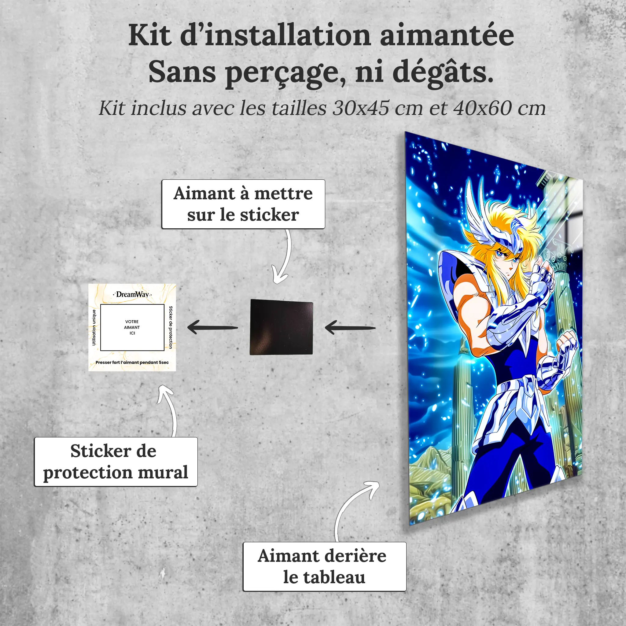 tableau-les-chevaliers-du-zodiaque-hyoga-du-cygne-avec-installation-aimantee | DreamWay