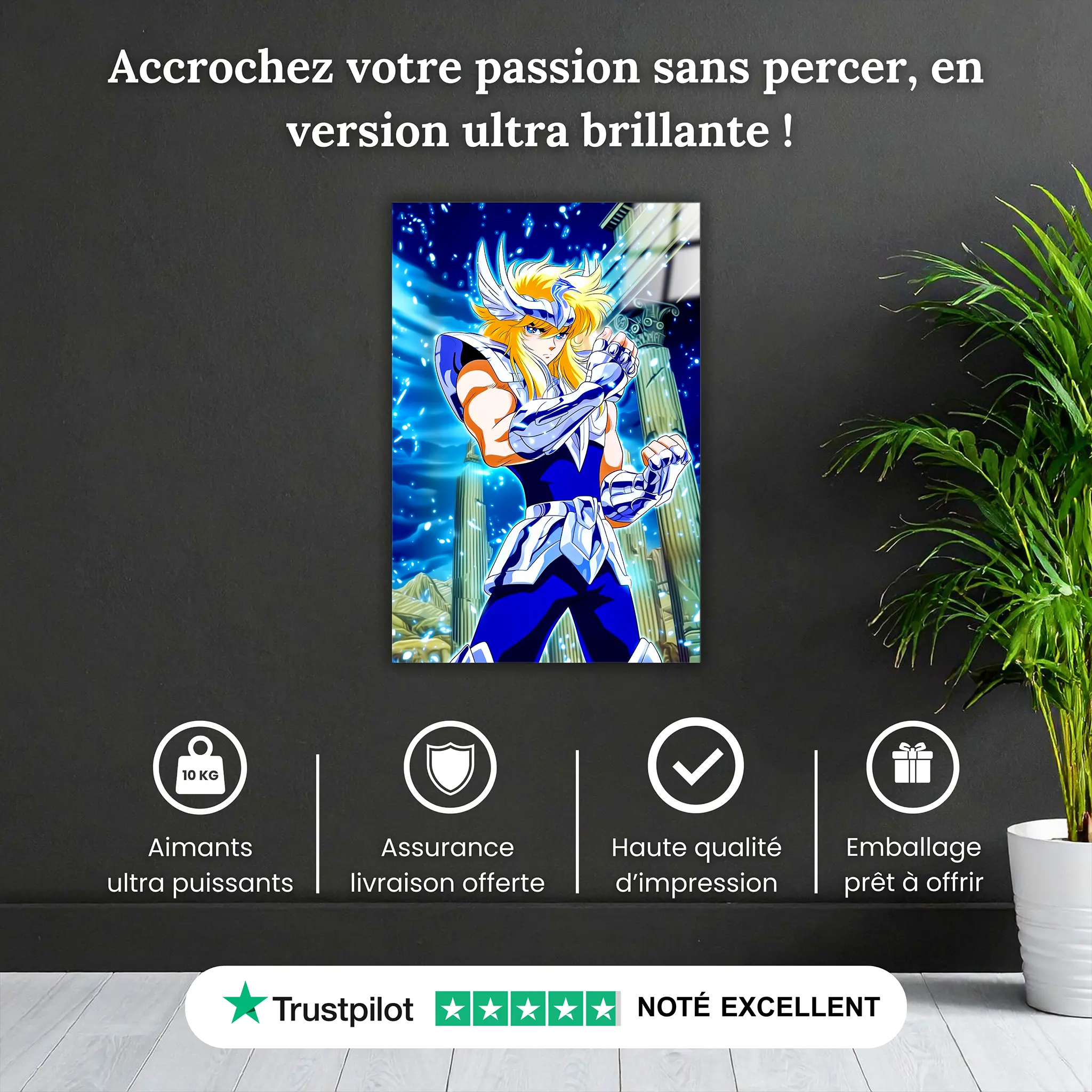 tableau-les-chevaliers-du-zodiaque-hyoga-du-cygne-pourquoi-acheter | DreamWay