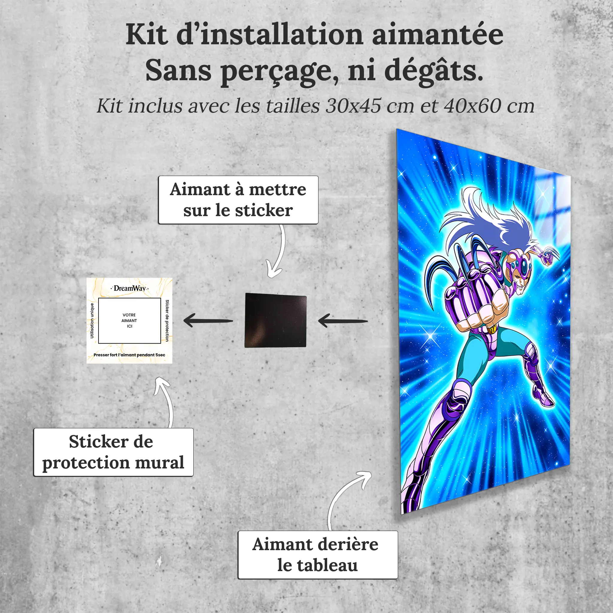 tableau-les-chevaliers-du-zodiaque-ichi-de-hydre-avec-installation-aimantee | DreamWay