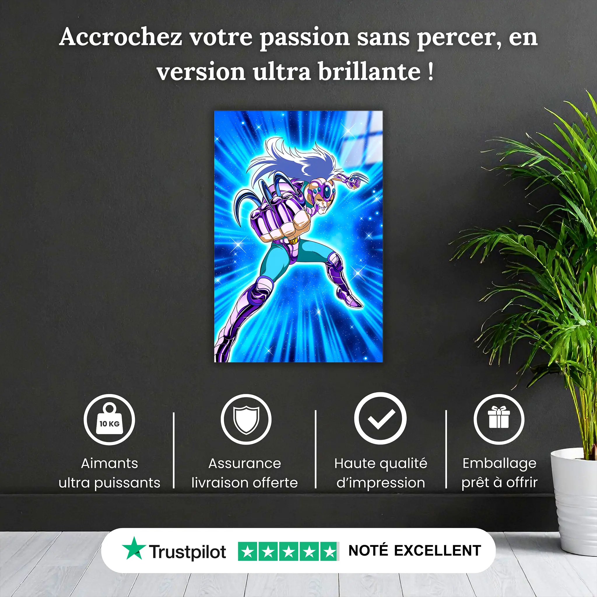 tableau-les-chevaliers-du-zodiaque-ichi-de-hydre-pourquoi-acheter | DreamWay