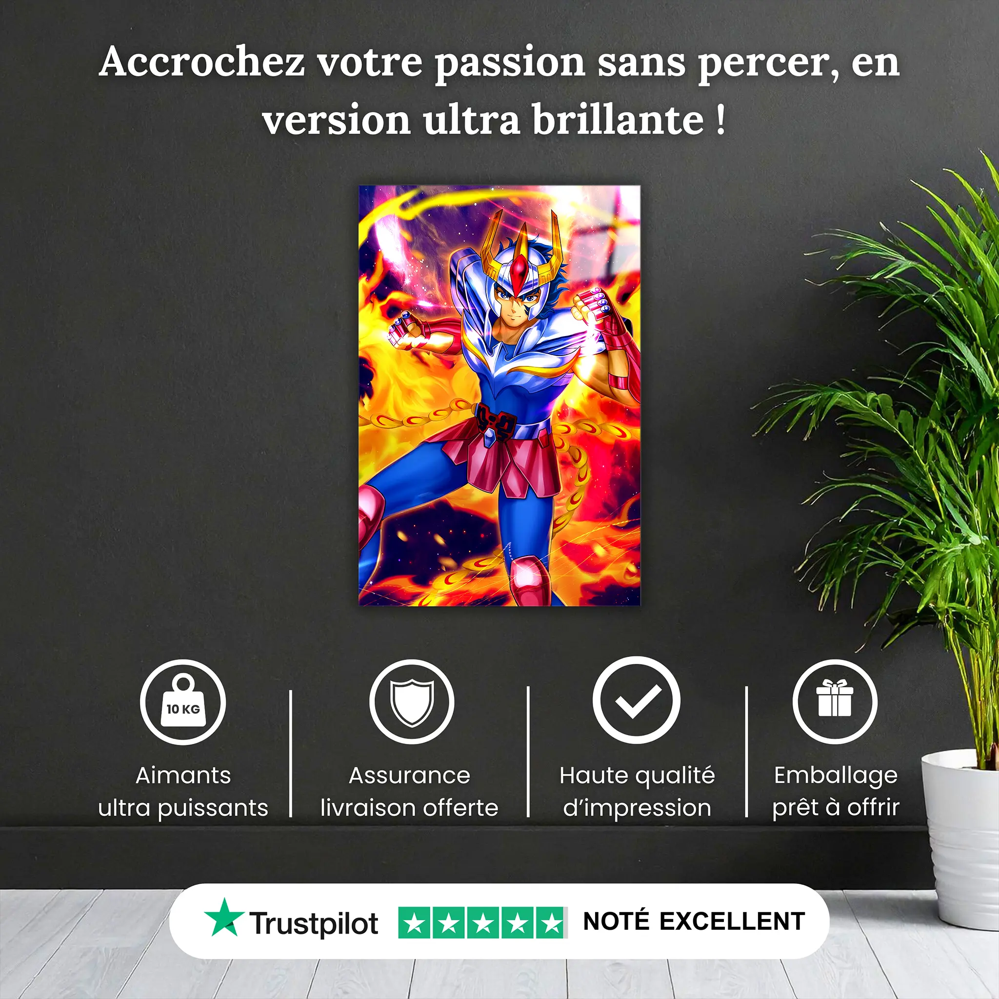 tableau-les-chevaliers-du-zodiaque-ikki-du-phenix-pourquoi-acheter | DreamWay