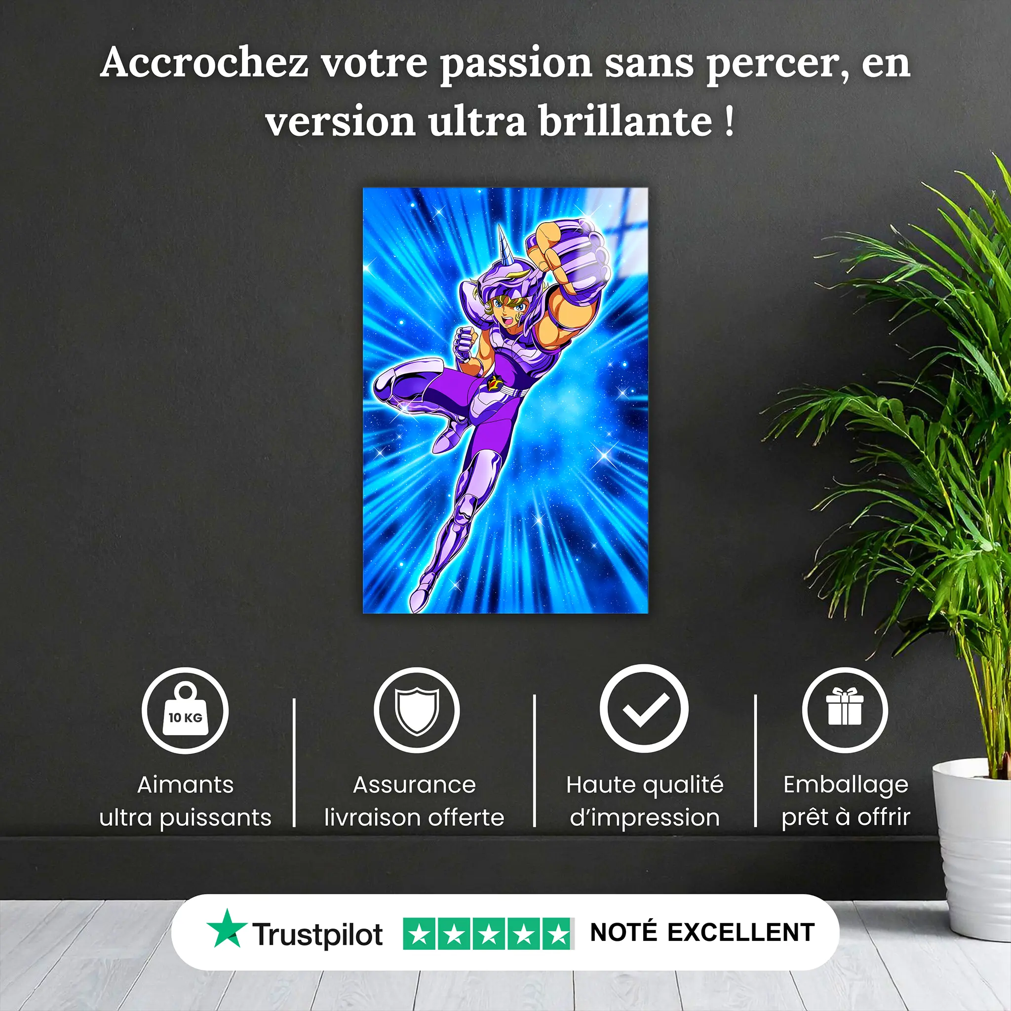 tableau-les-chevaliers-du-zodiaque-jabu-de-la-licorne-pourquoi-acheter | DreamWay