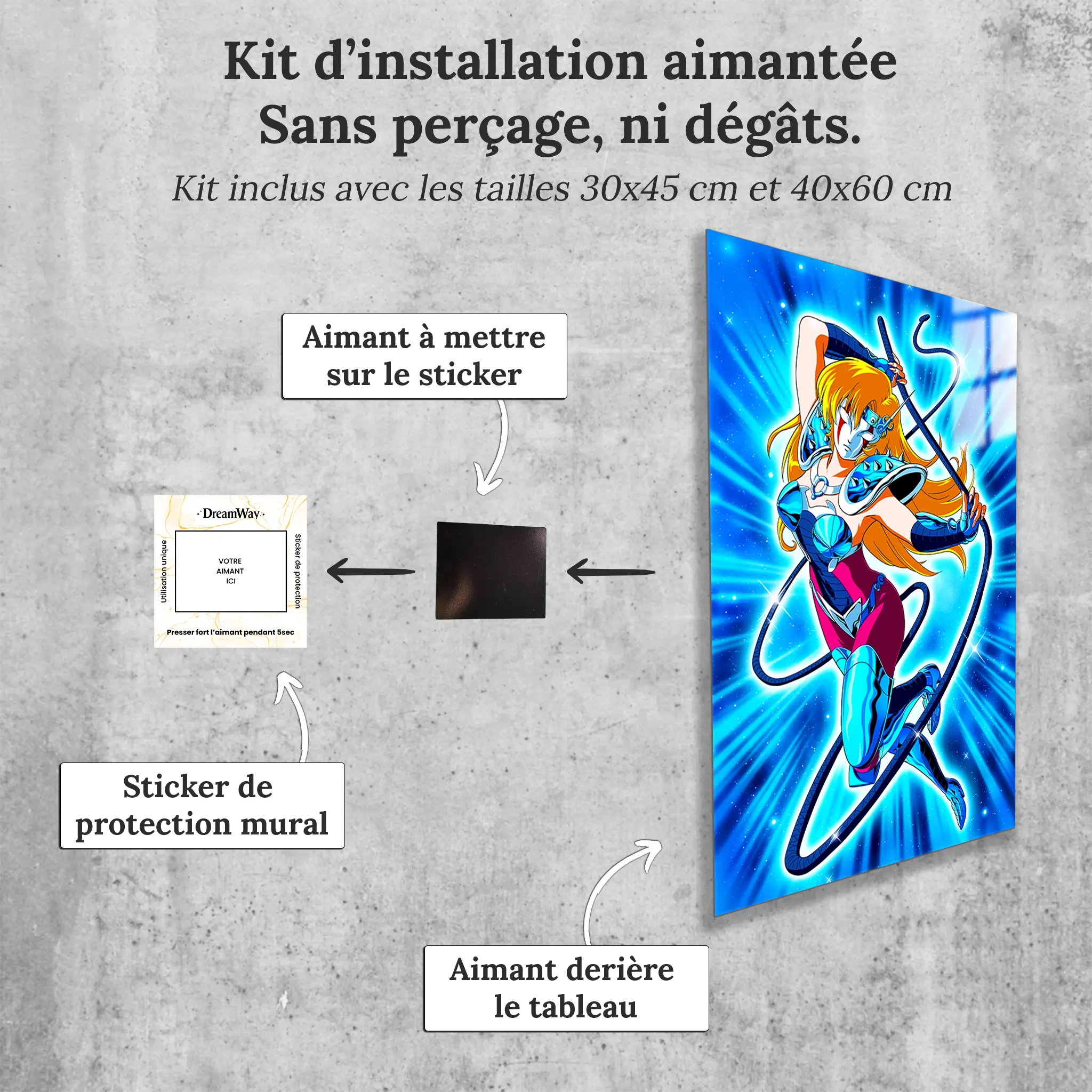 tableau-les-chevaliers-du-zodiaque-june-du-cameleon-avec-installation-aimantee | DreamWay
