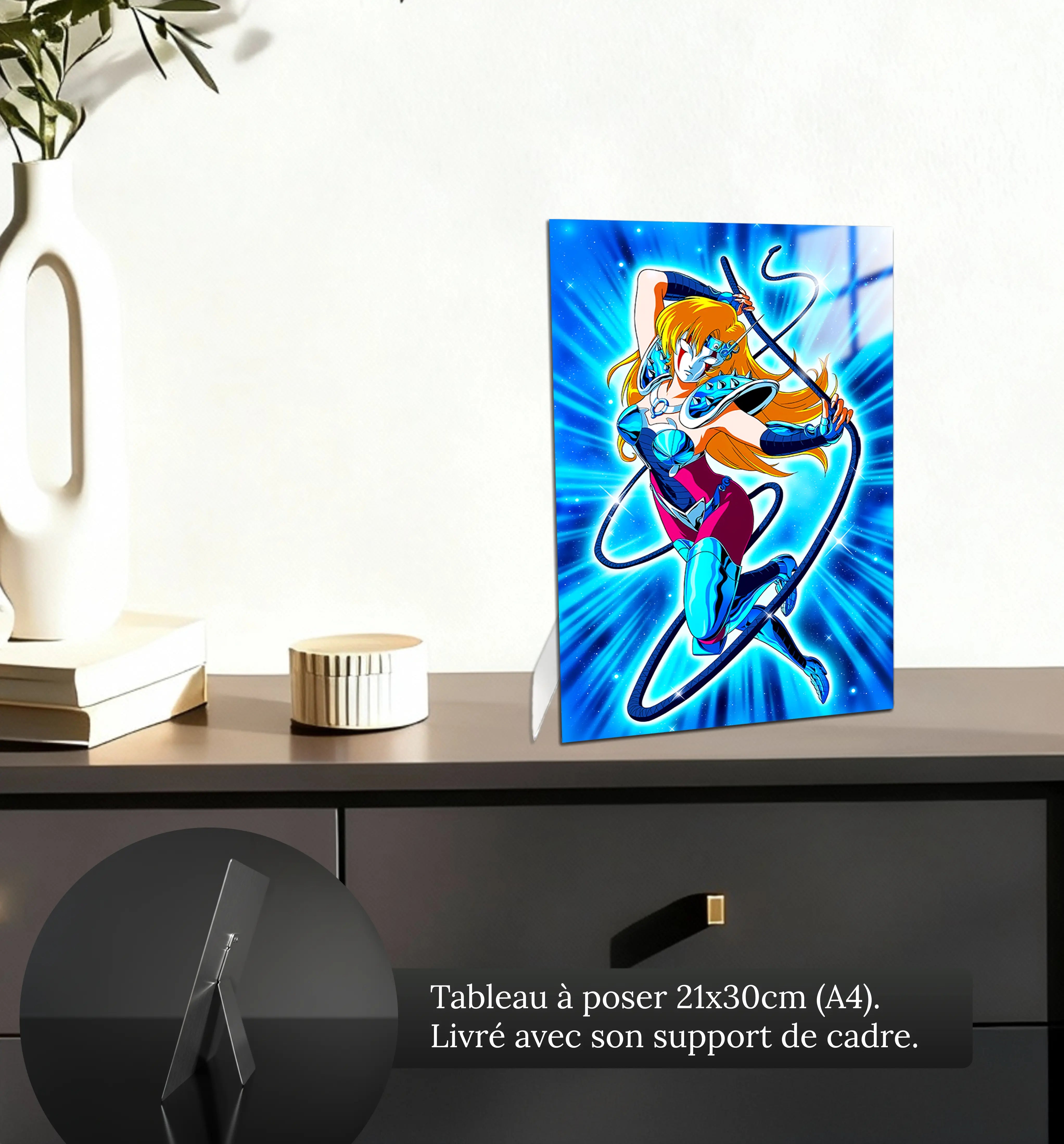 tableau-les-chevaliers-du-zodiaque-june-du-cameleon-petit-format-a-poser-sur-meuble | DreamWay