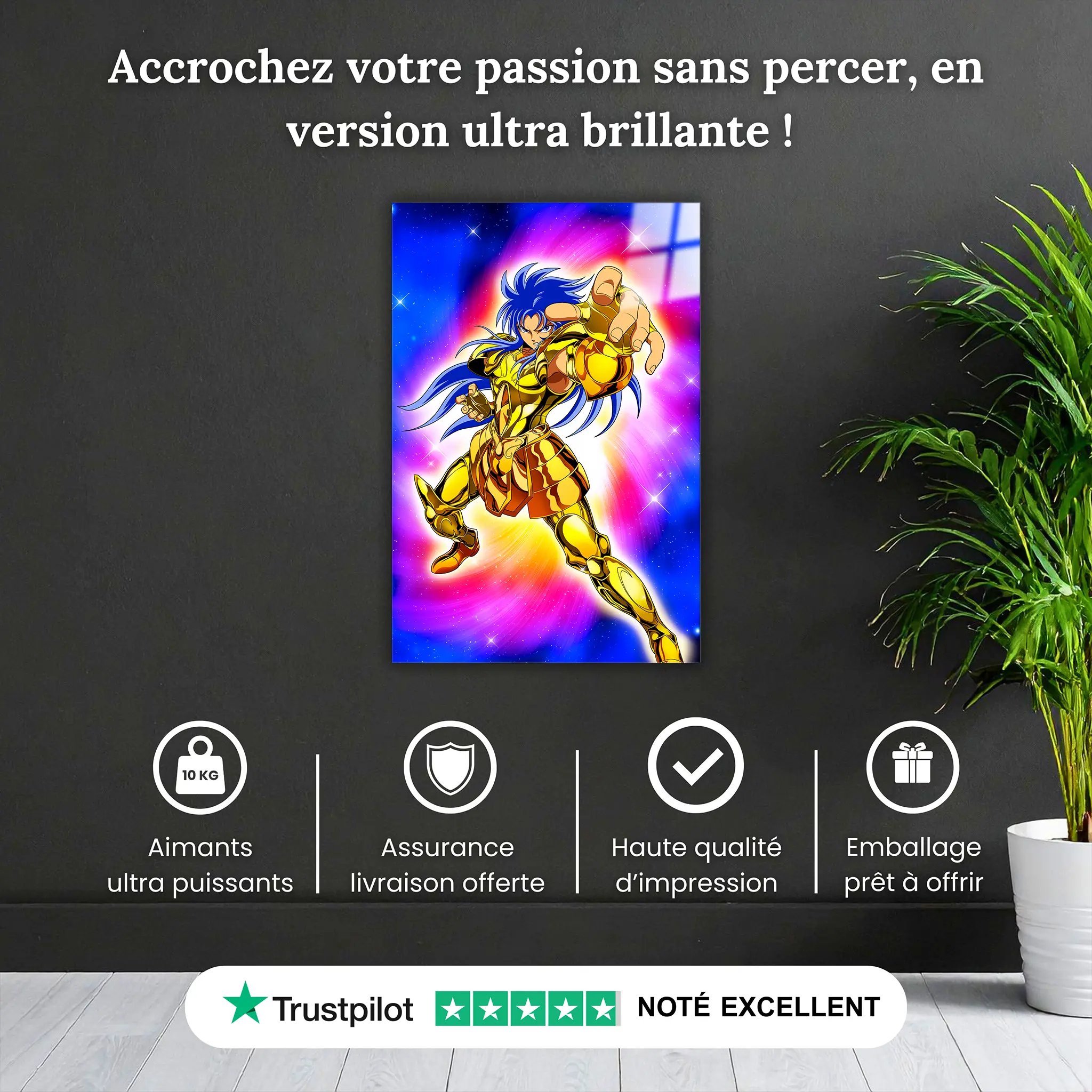 tableau-les-chevaliers-du-zodiaque-kanon-pourquoi-acheter | DreamWay