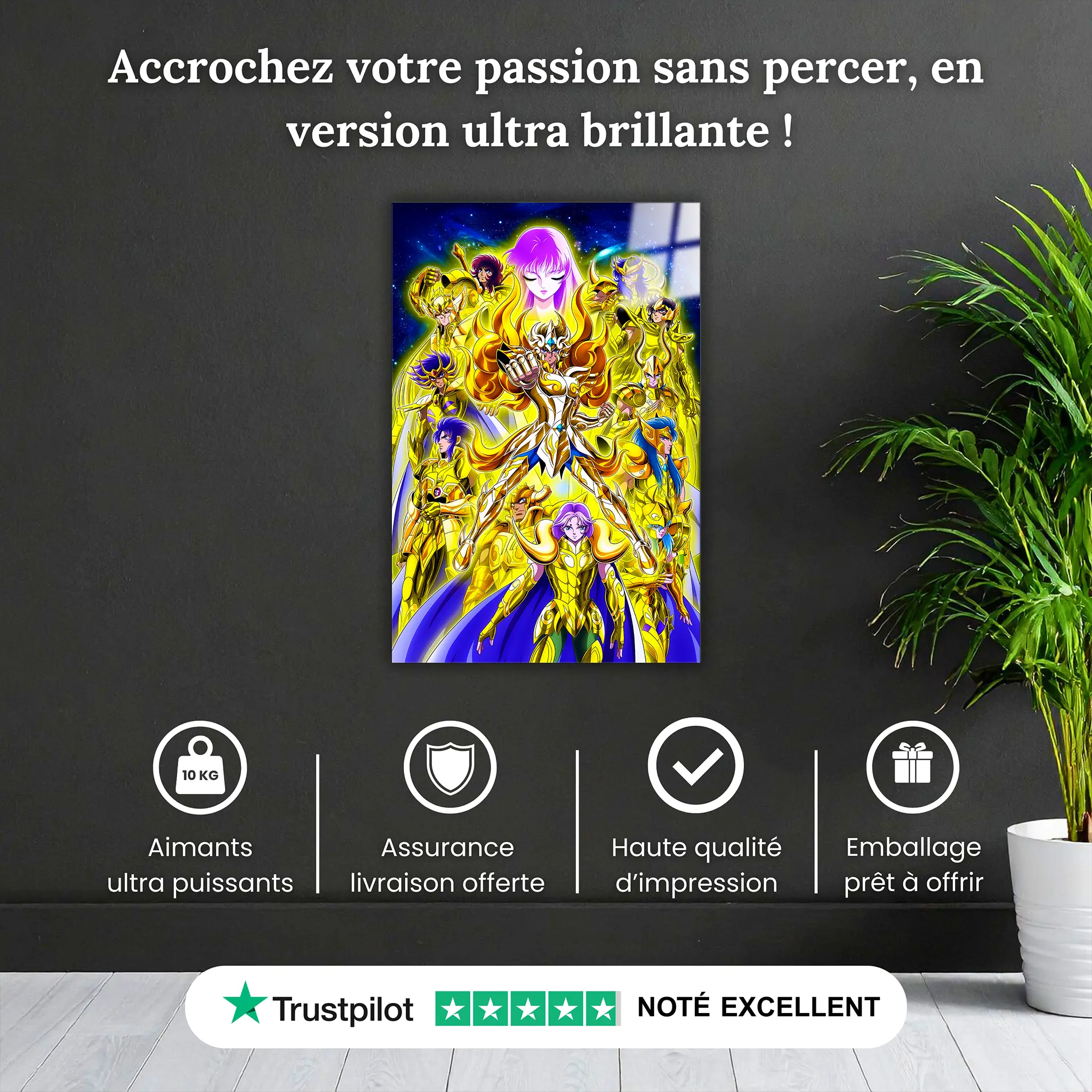 tableau-les-chevaliers-du-zodiaque-les-chevaliers-or-pourquoi-acheter | DreamWay