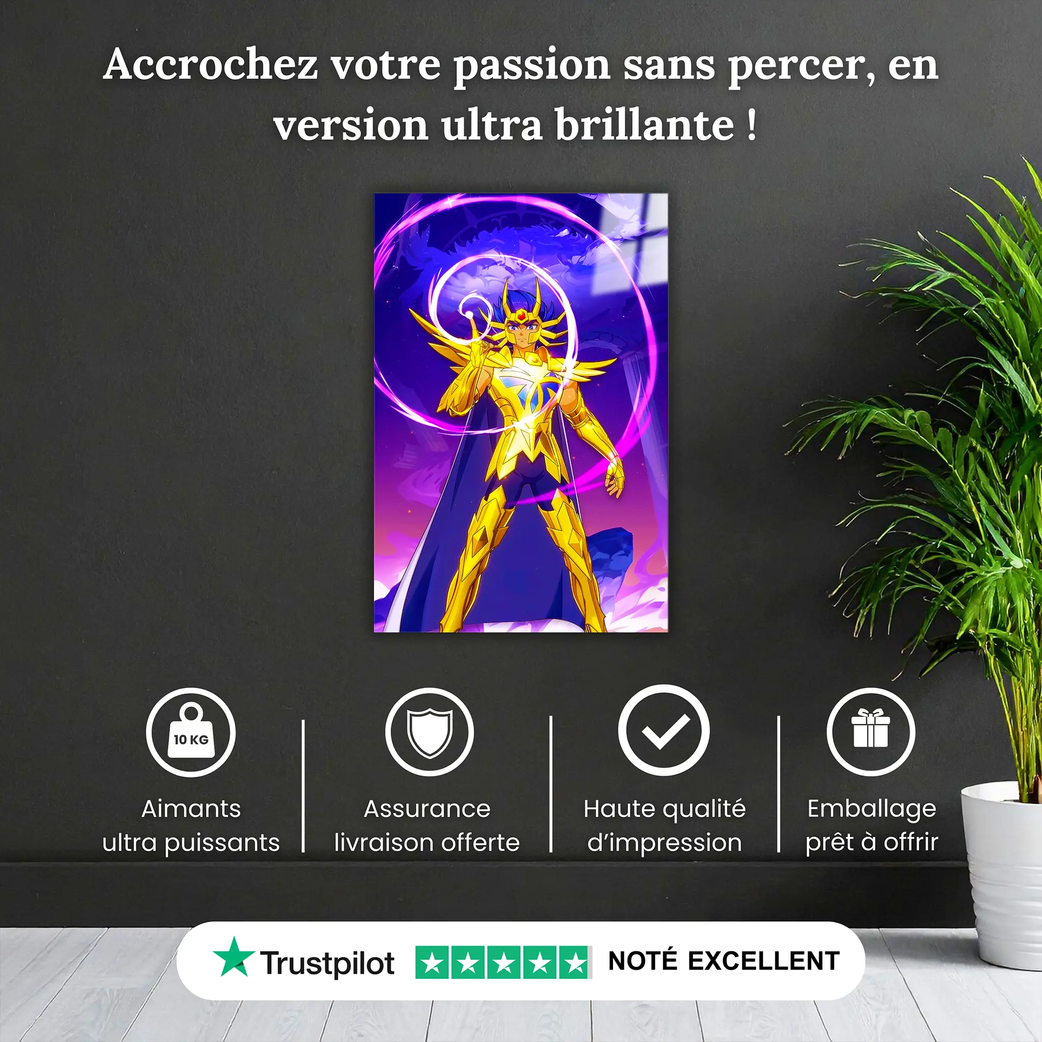 tableau-les-chevaliers-du-zodiaque-masque-de-mort-du-cancer-pourquoi-acheter | DreamWay