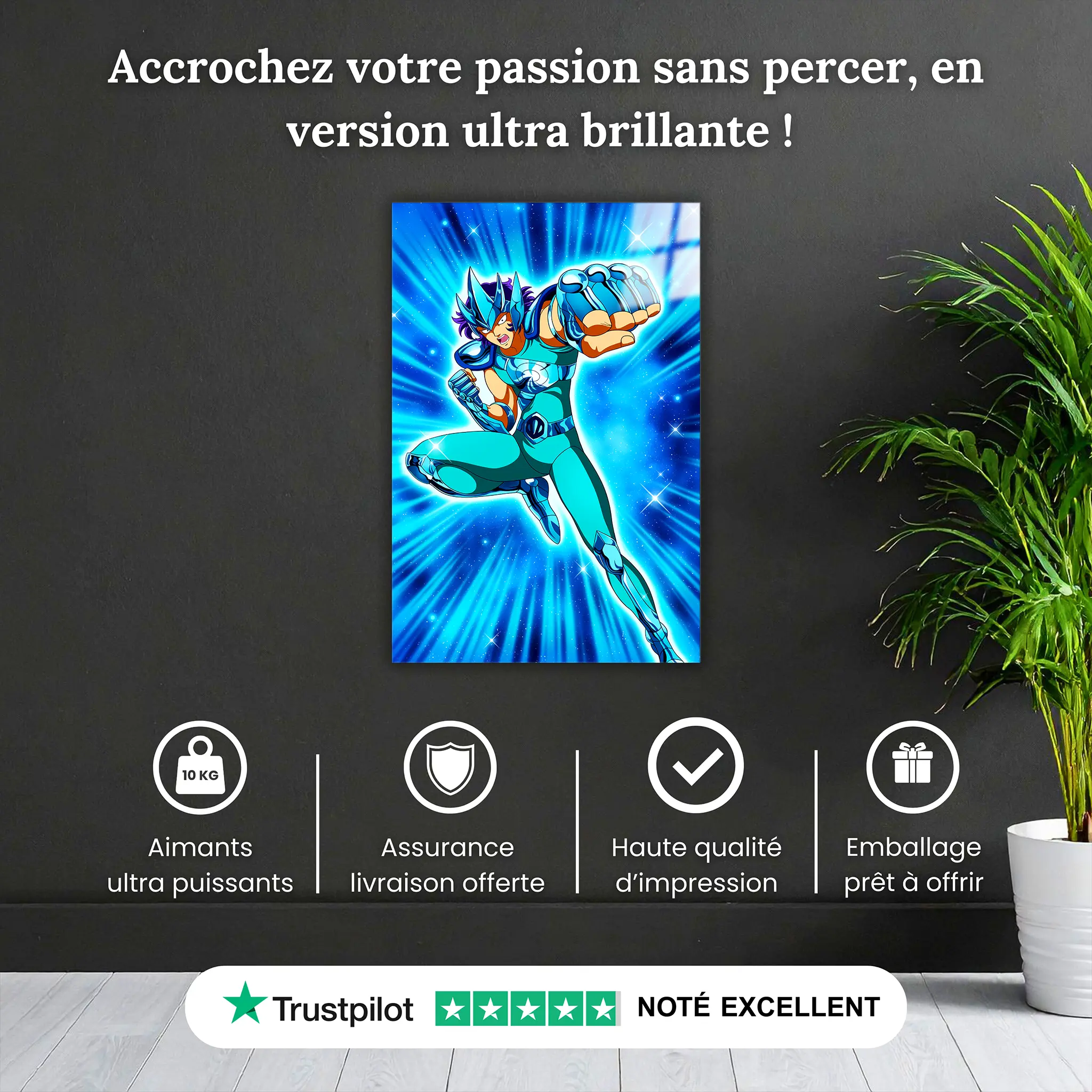 tableau-les-chevaliers-du-zodiaque-nachi-du-loup-pourquoi-acheter | DreamWay