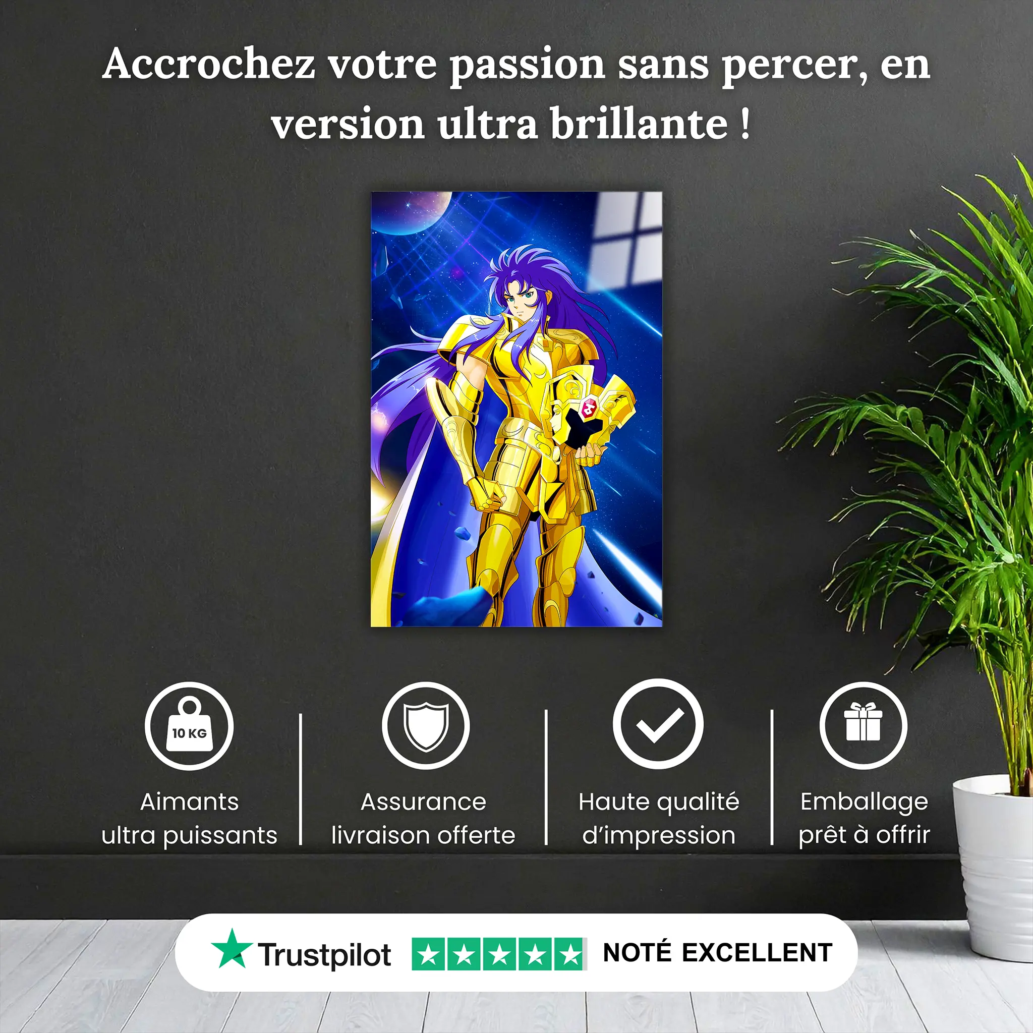 tableau-les-chevaliers-du-zodiaque-saga-des-gemeaux-pourquoi-acheter | DreamWay