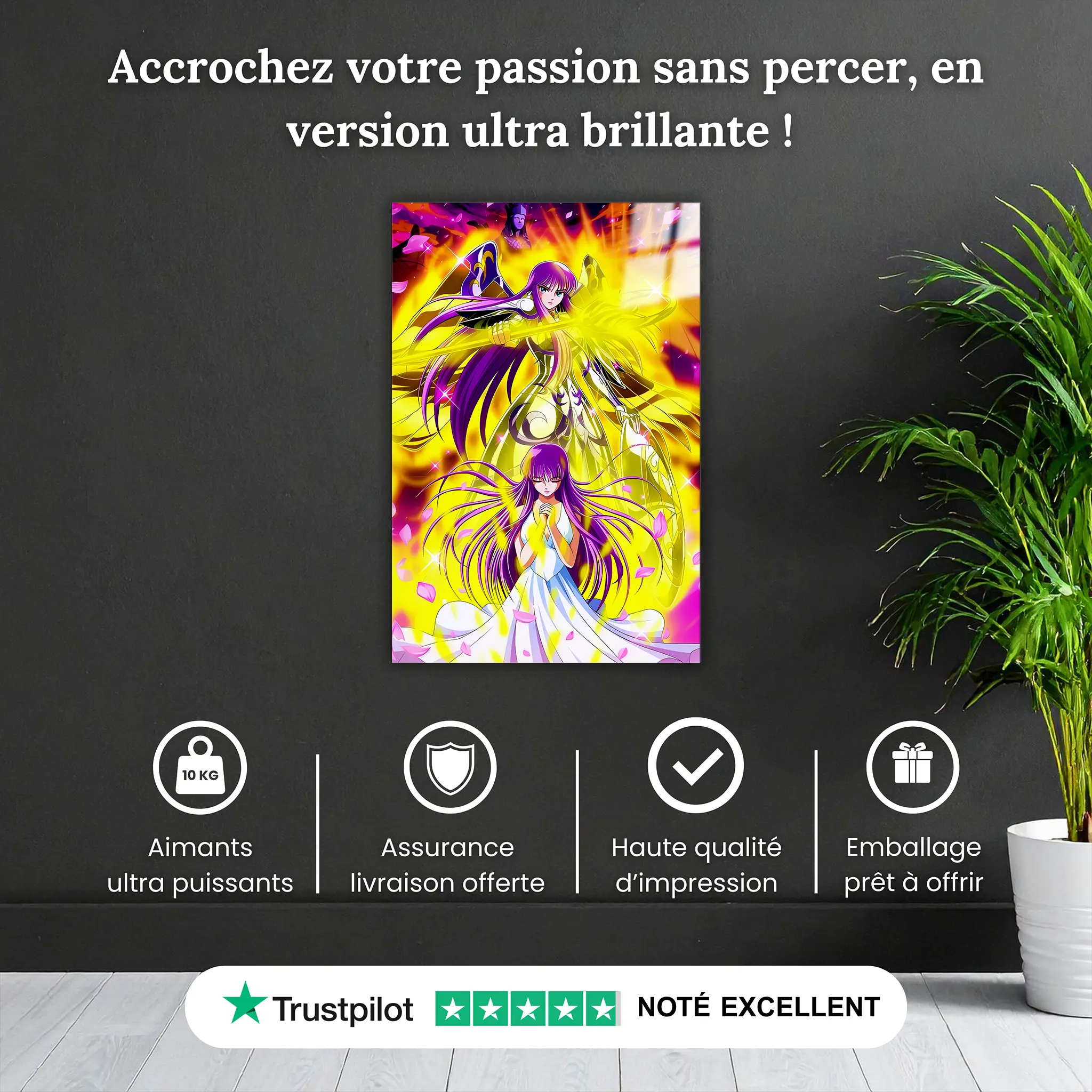 tableau-les-chevaliers-du-zodiaque-saori-kido-pourquoi-acheter | DreamWay
