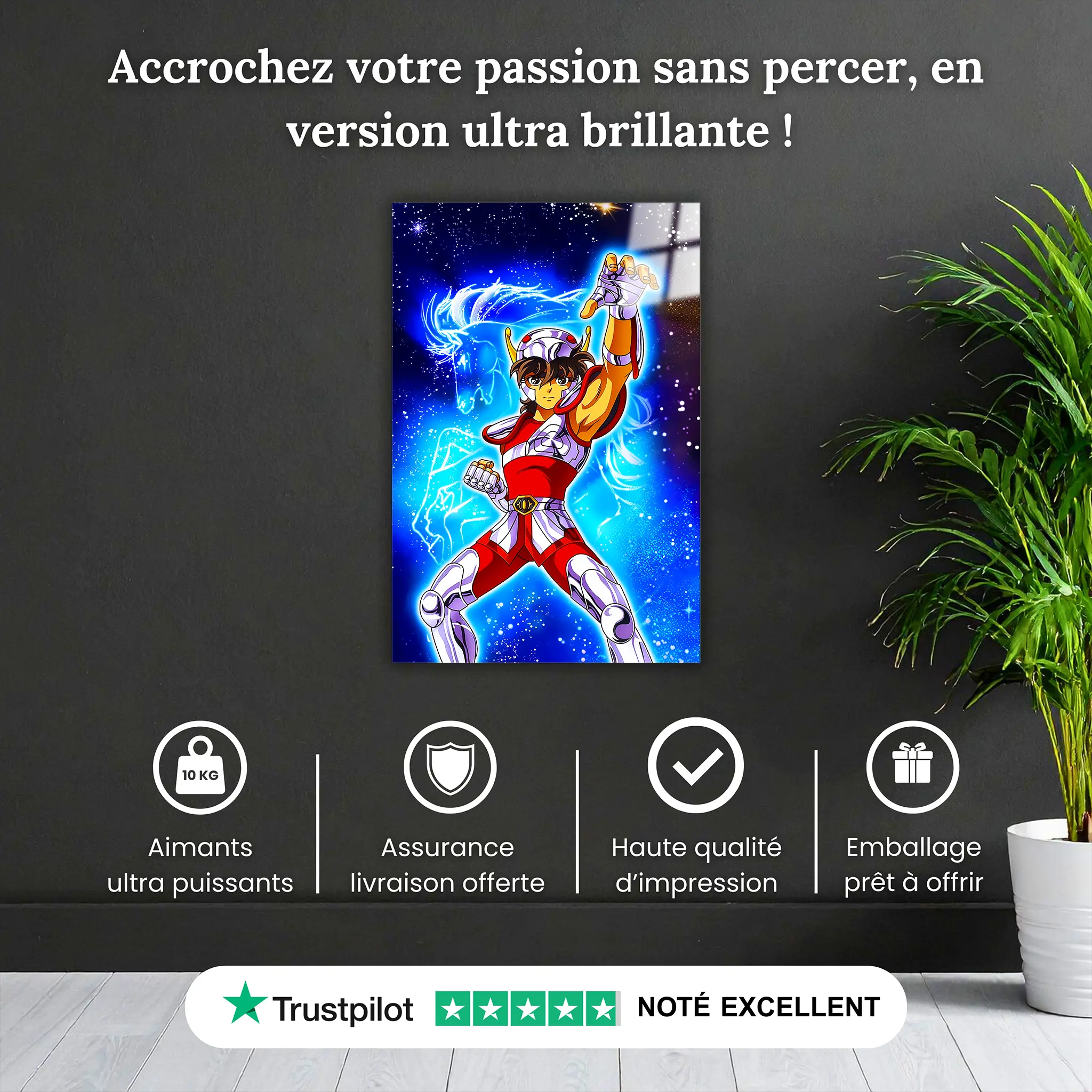 tableau-les-chevaliers-du-zodiaque-seiya-de-pegase-pourquoi-acheter | DreamWay