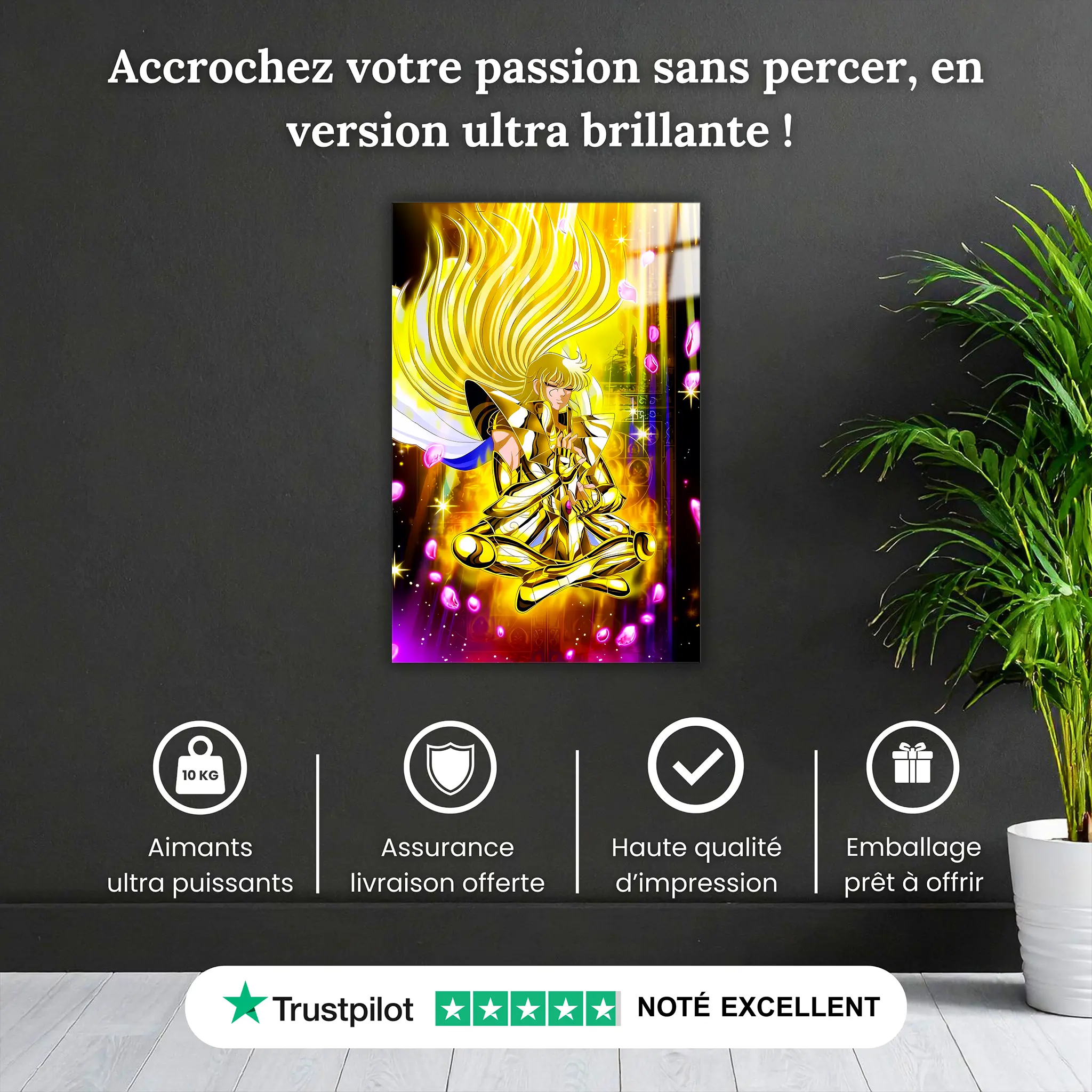 tableau-les-chevaliers-du-zodiaque-shaka-de-la-vierge-pourquoi-acheter | DreamWay