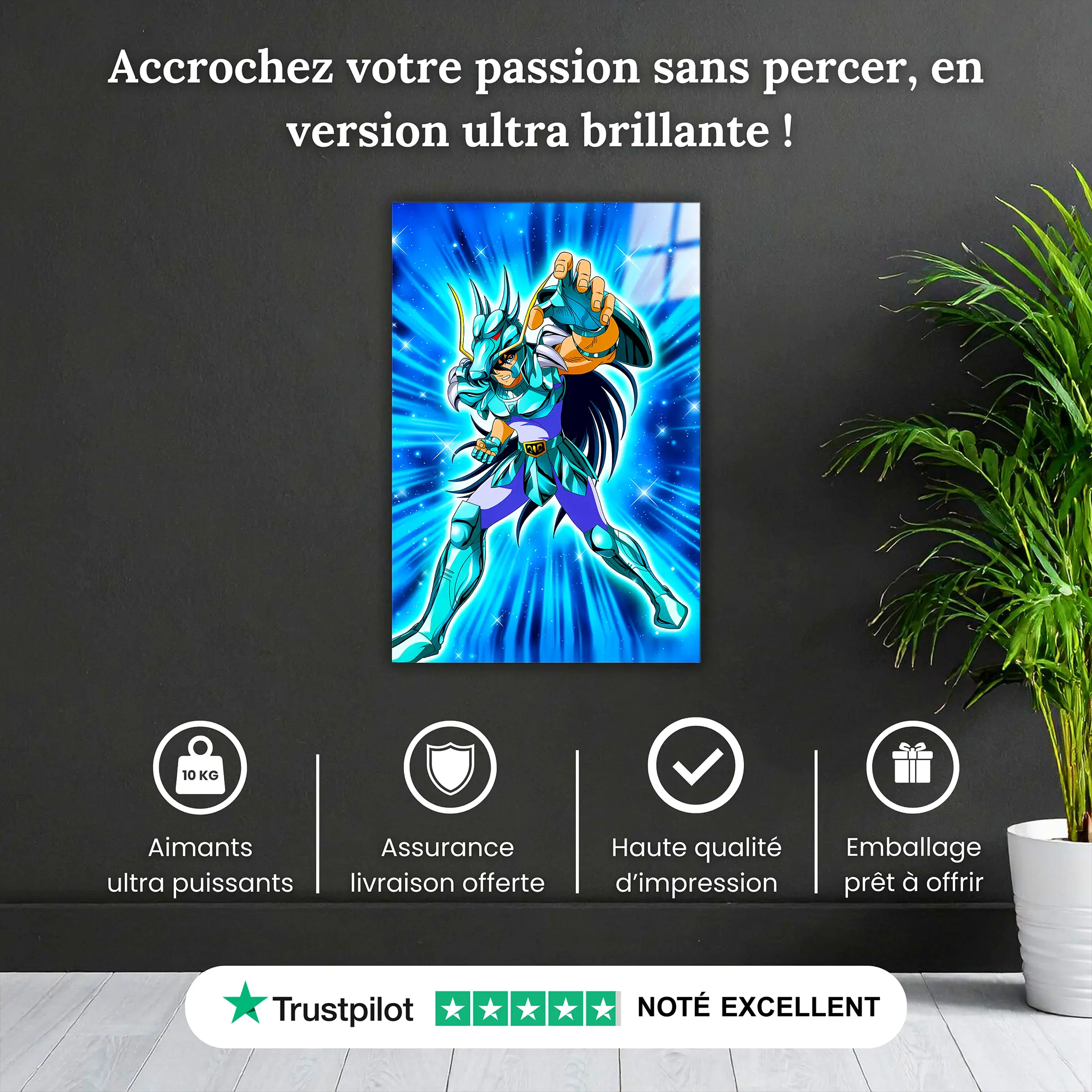 tableau-les-chevaliers-du-zodiaque-shiryu-du-dragon-pourquoi-acheter | DreamWay