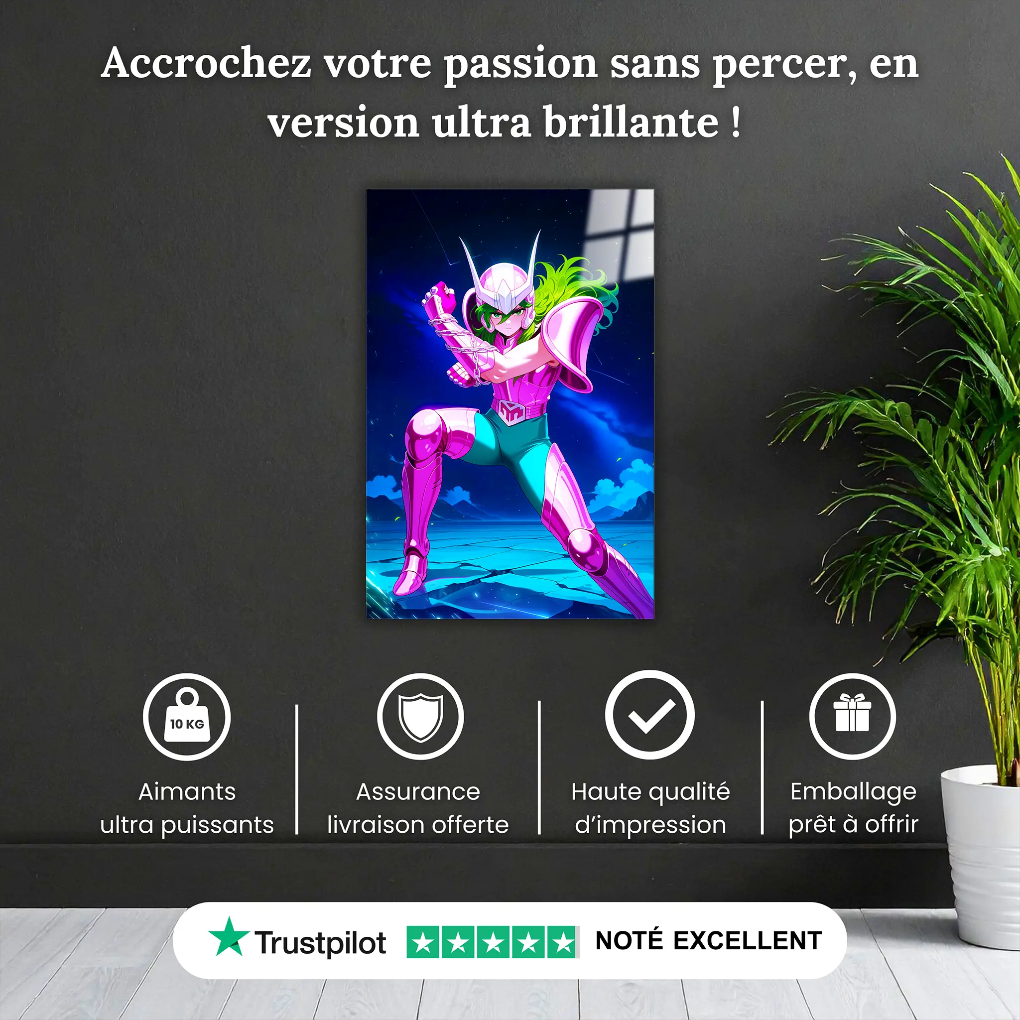 tableau-les-chevaliers-du-zodiaque-shun-andromede-pourquoi-acheter | DreamWay