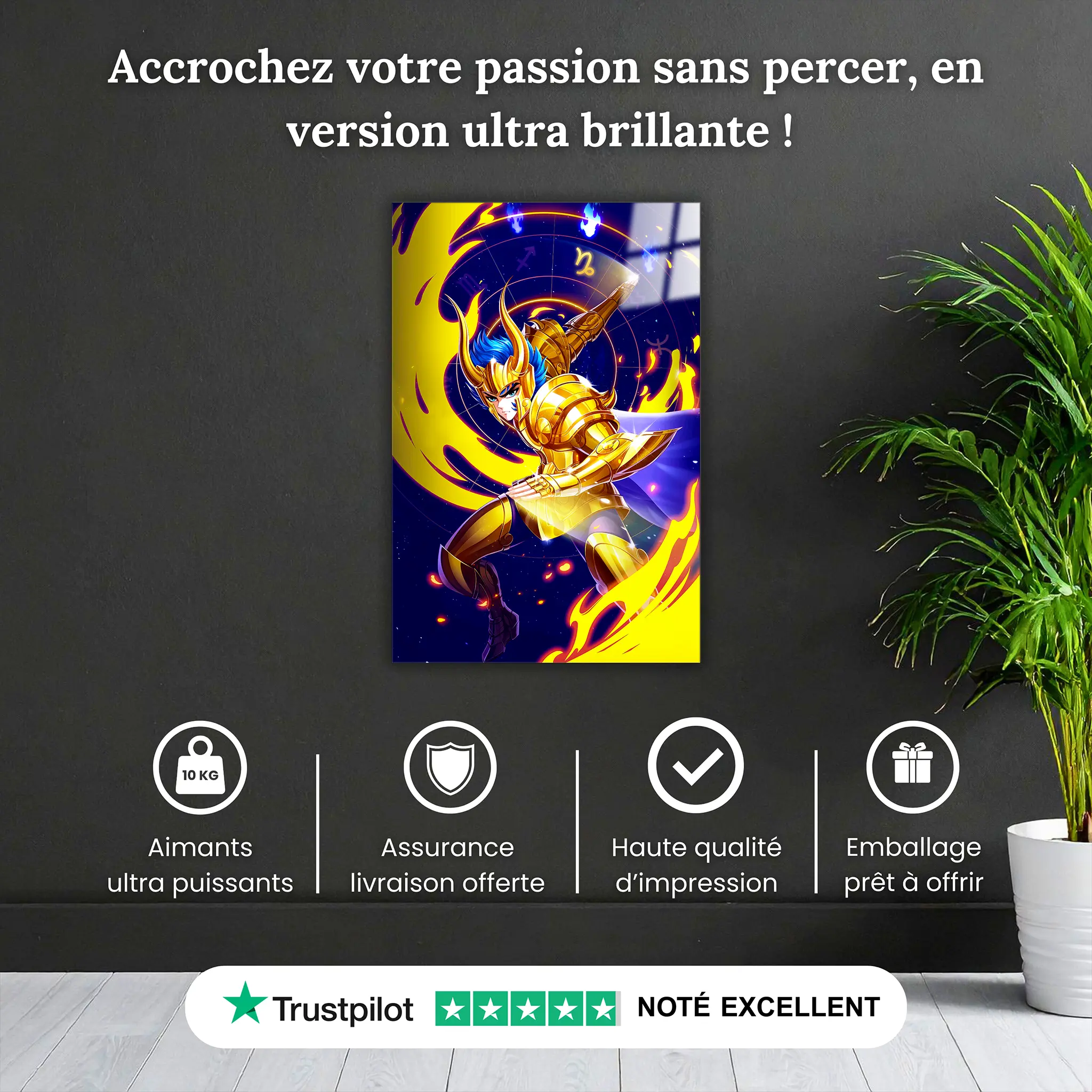 tableau-les-chevaliers-du-zodiaque-shura-du-capricorne-pourquoi-acheter | DreamWay