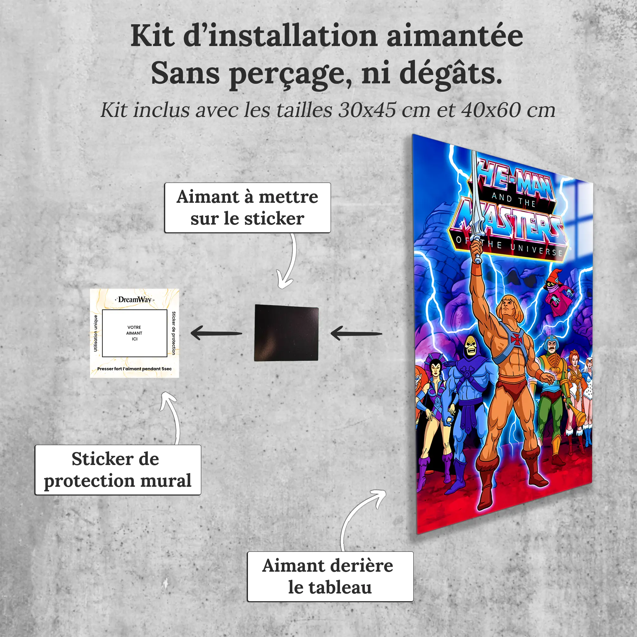 tableau-les-maitres-de-l-univers-affiche-avec-installation-aimantee | DreamWay